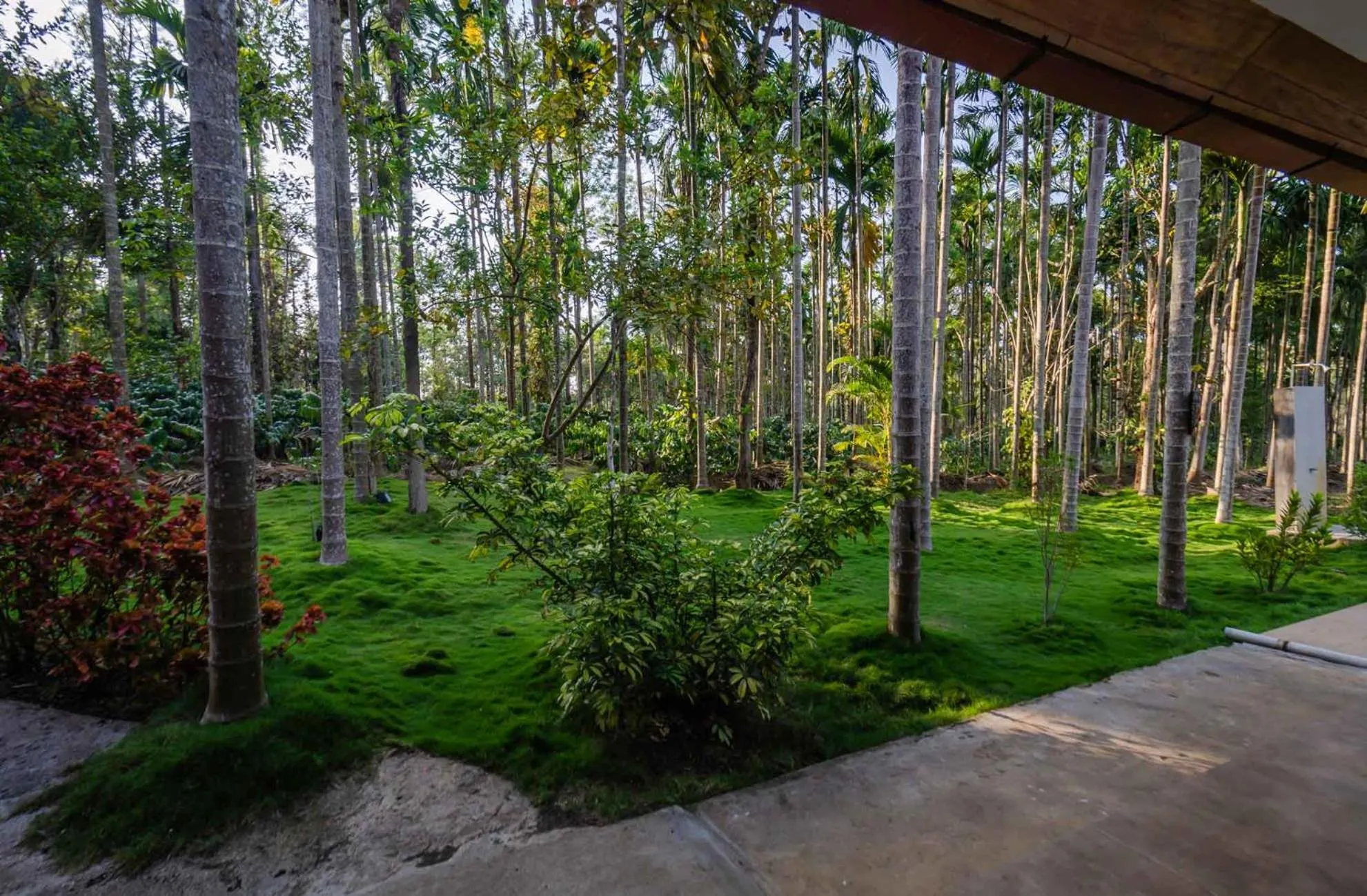 Garden in StayVista at Tall Silver with Infinity Pool & Breakfast -2BR