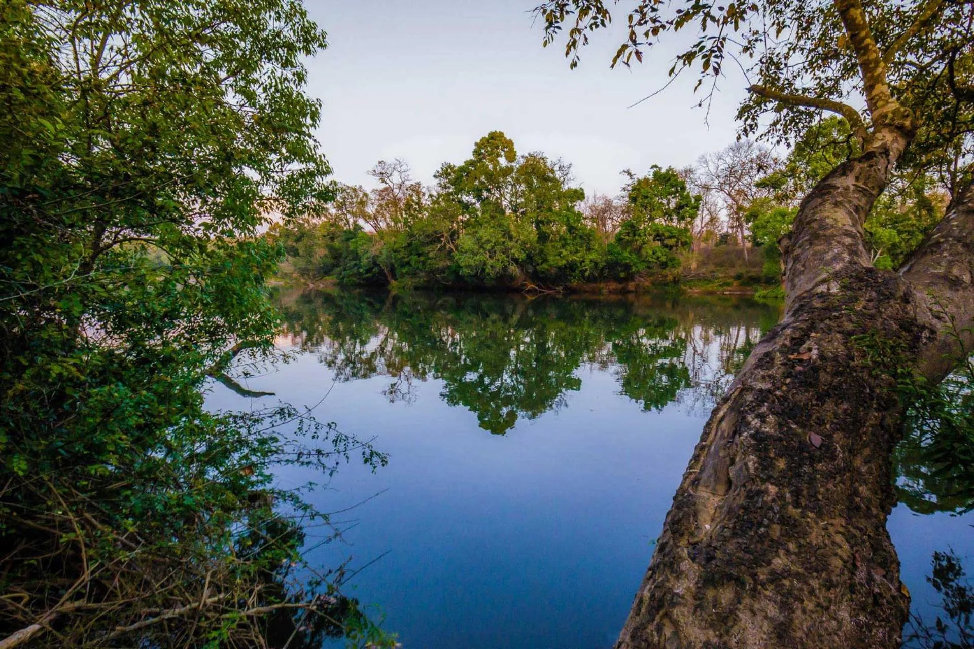 Lake view in StayVista at Tall Silver with Infinity Pool & Breakfast -2BR