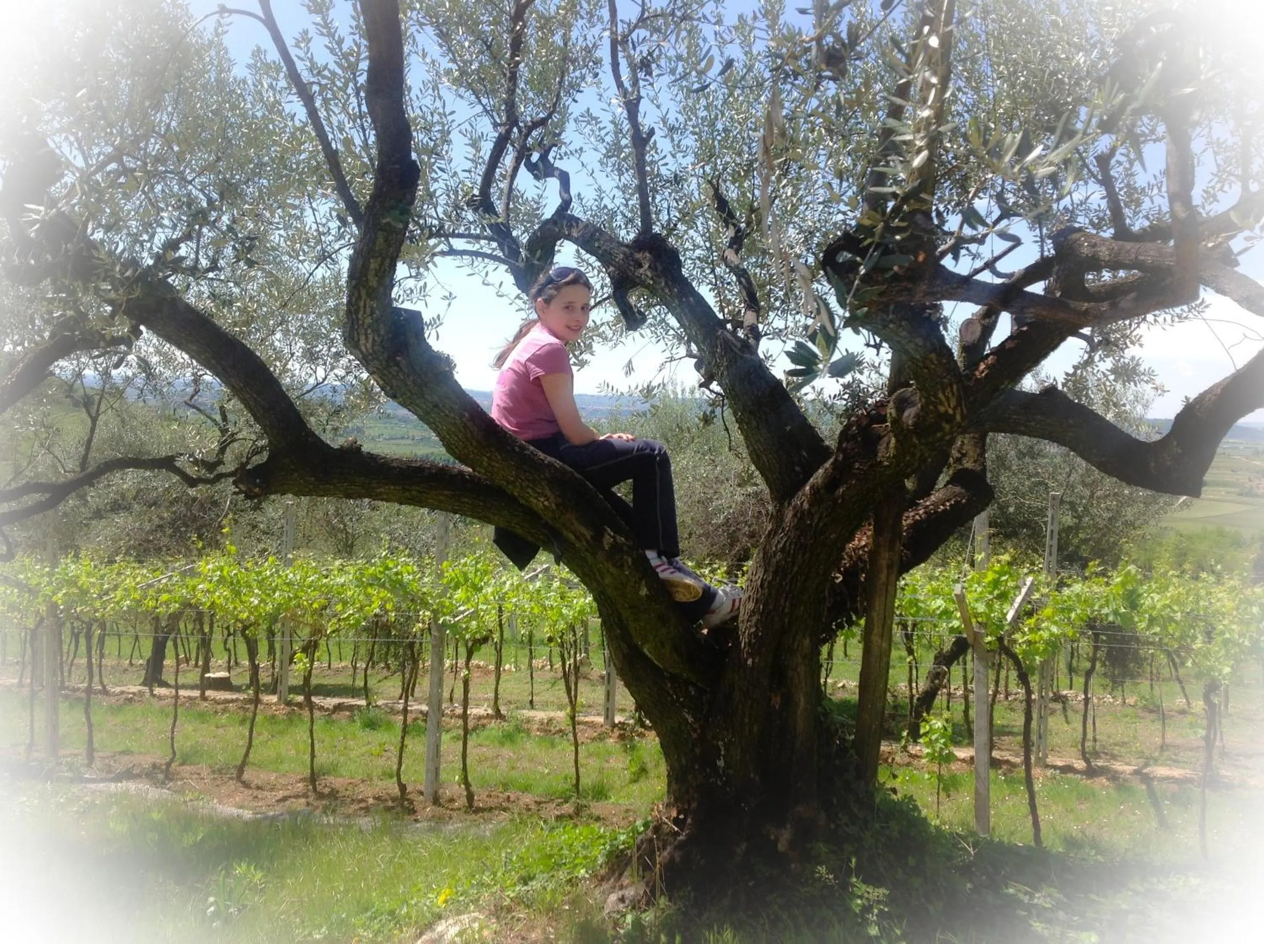 Other in Florivana Boutique Hotel