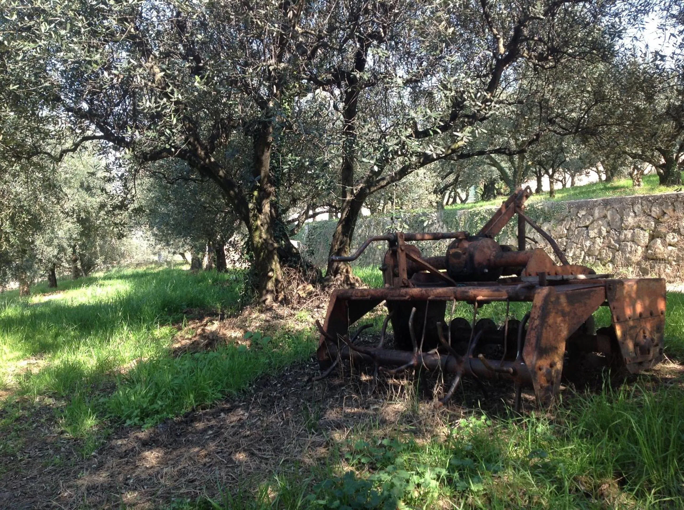 Other in Florivana Boutique Hotel