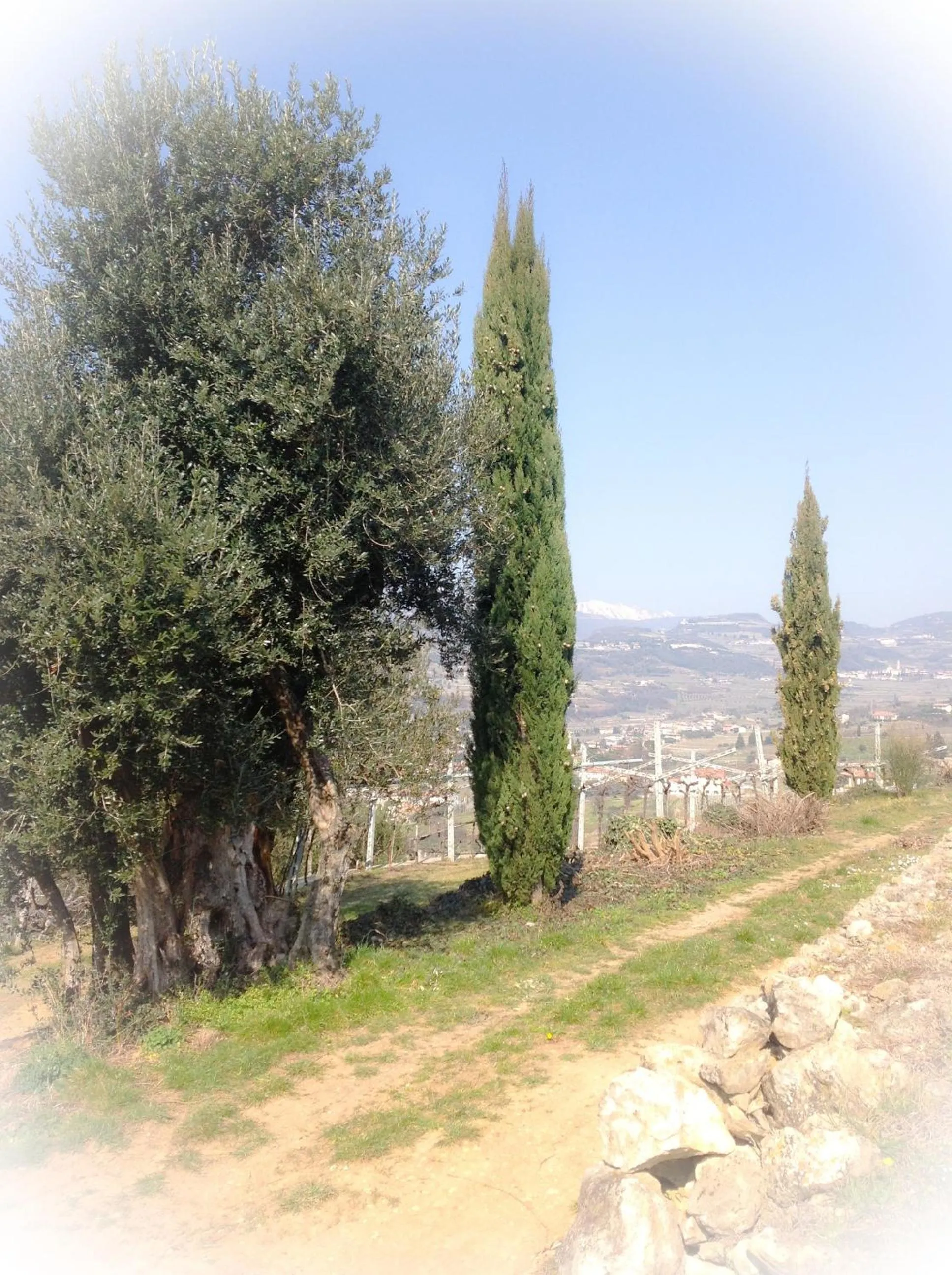 Day in Florivana Boutique Hotel