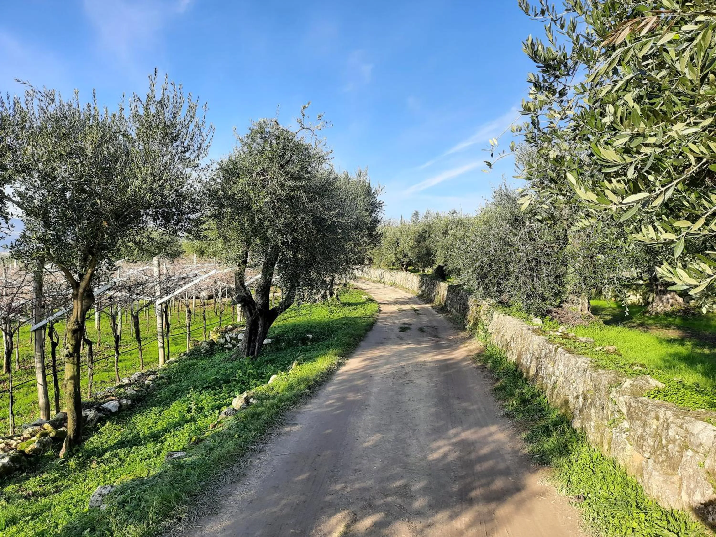 Hiking in Florivana Boutique Hotel