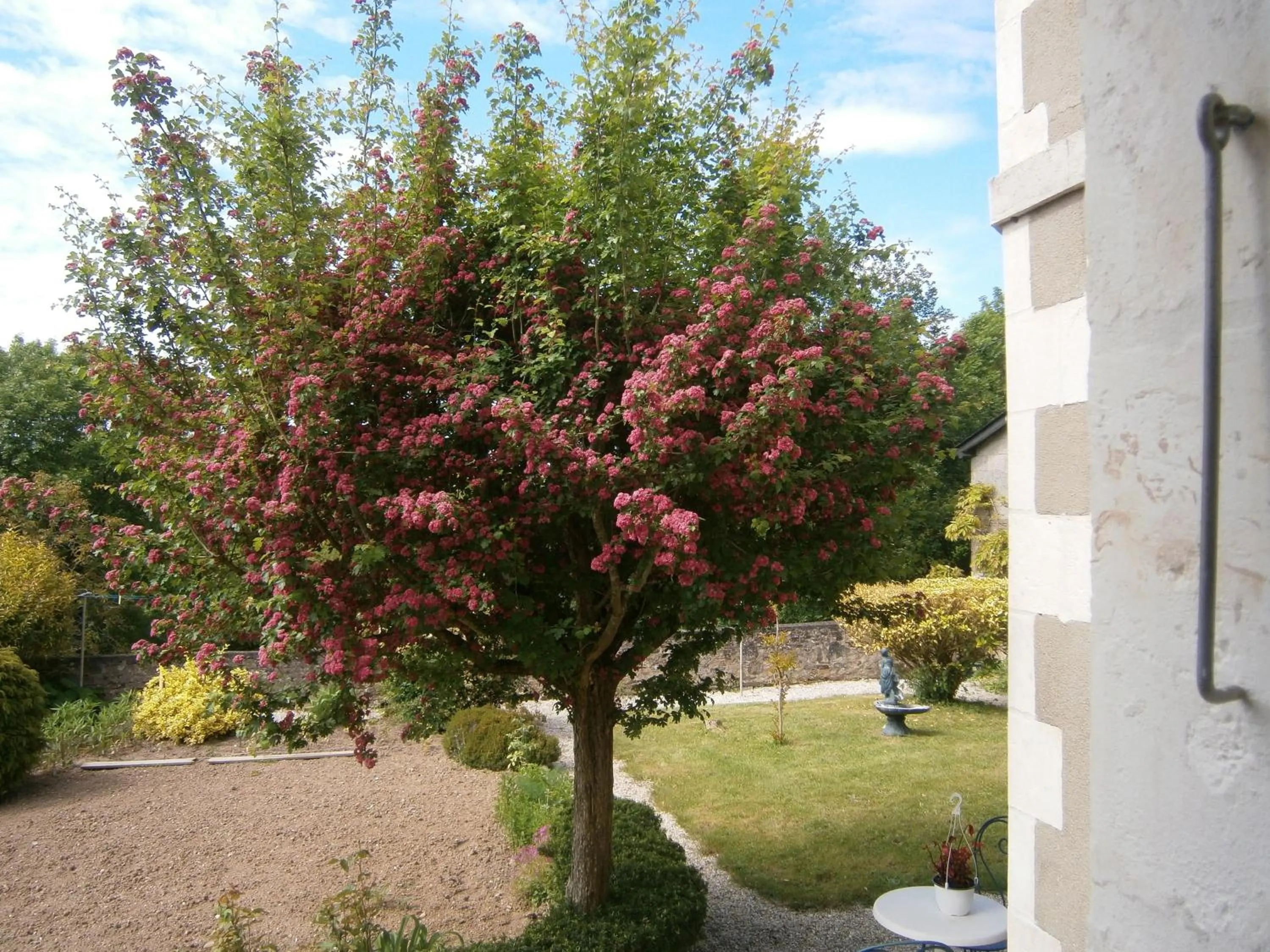 Garden in Logis La Folie