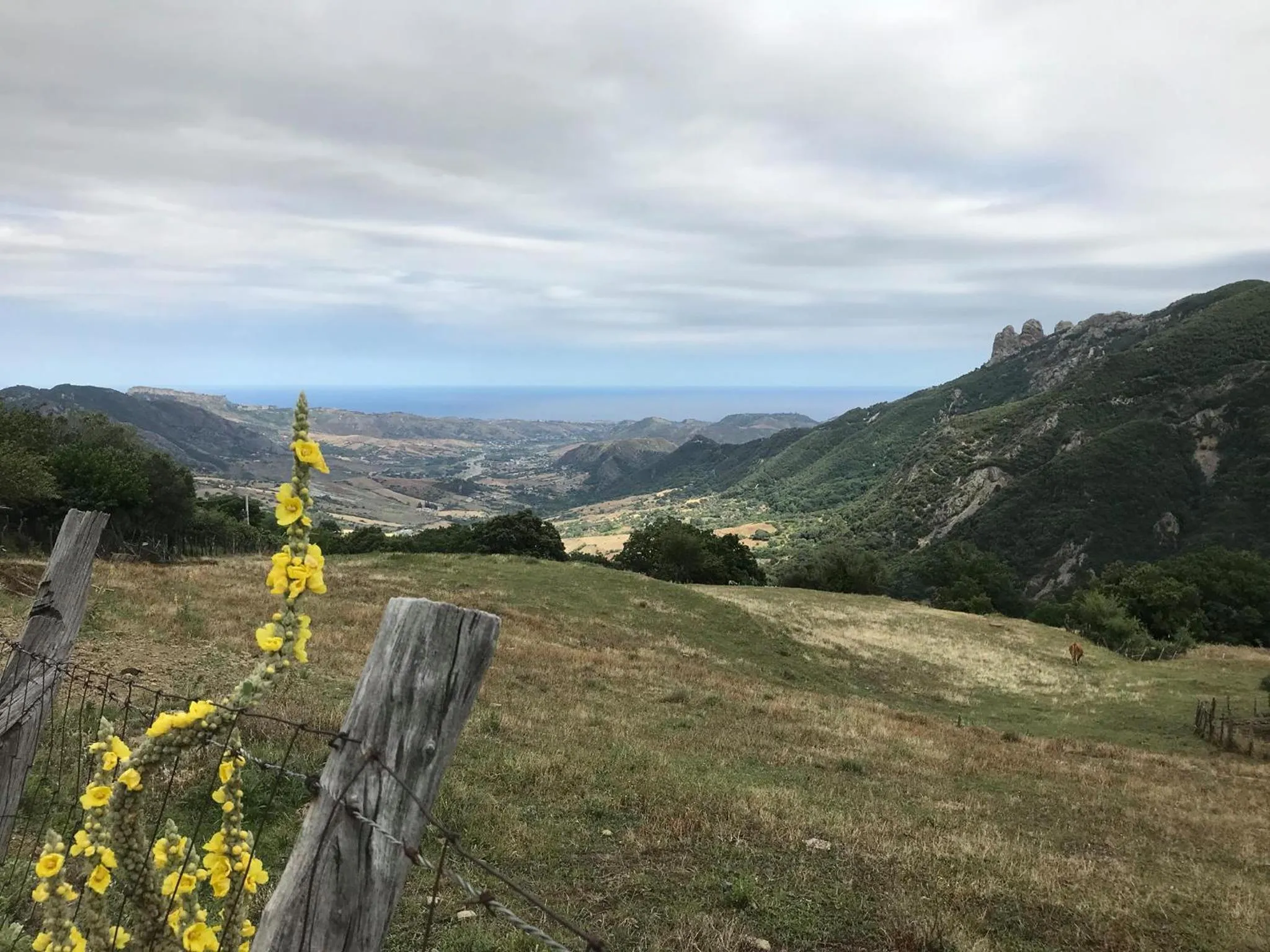 Nearby landmark in Magia dell'Aspromonte