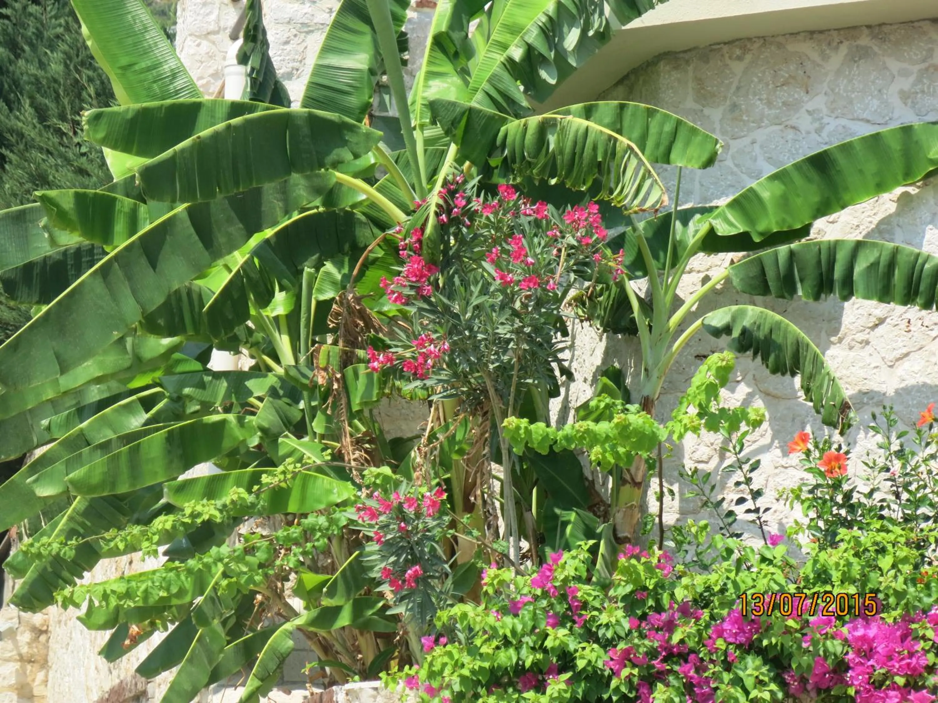 Natural landscape in Kulube Hotel