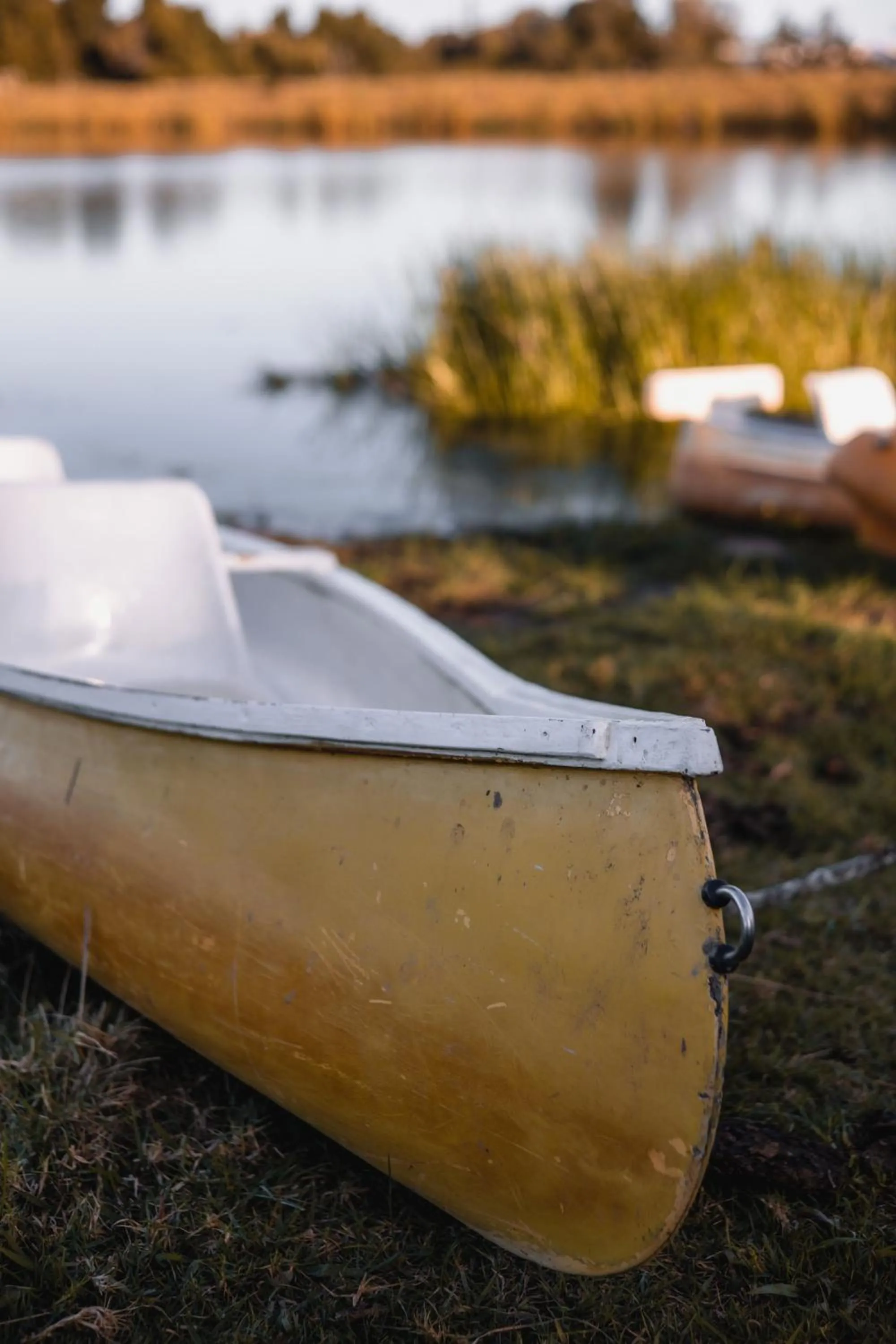 Lake view in Oakhurst Farm Cottages