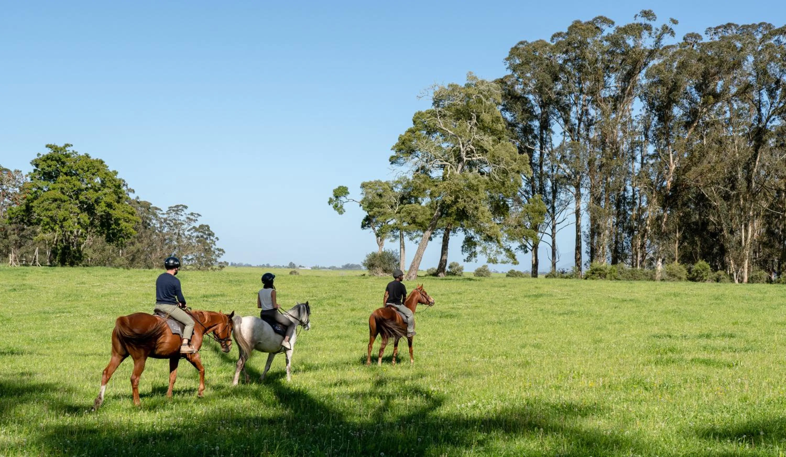 People in Oakhurst Farm Cottages