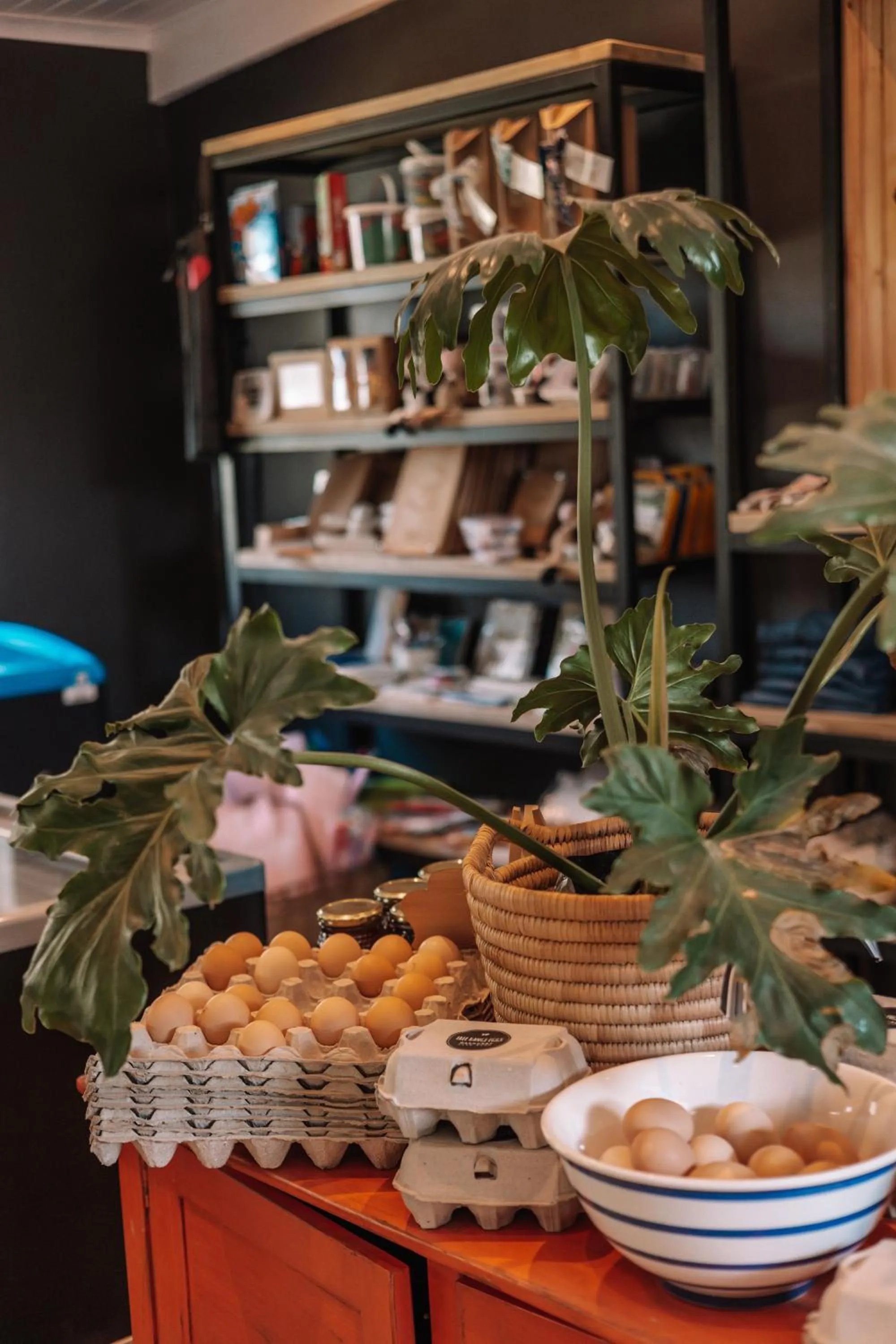Shopping Area in Oakhurst Farm Cottages