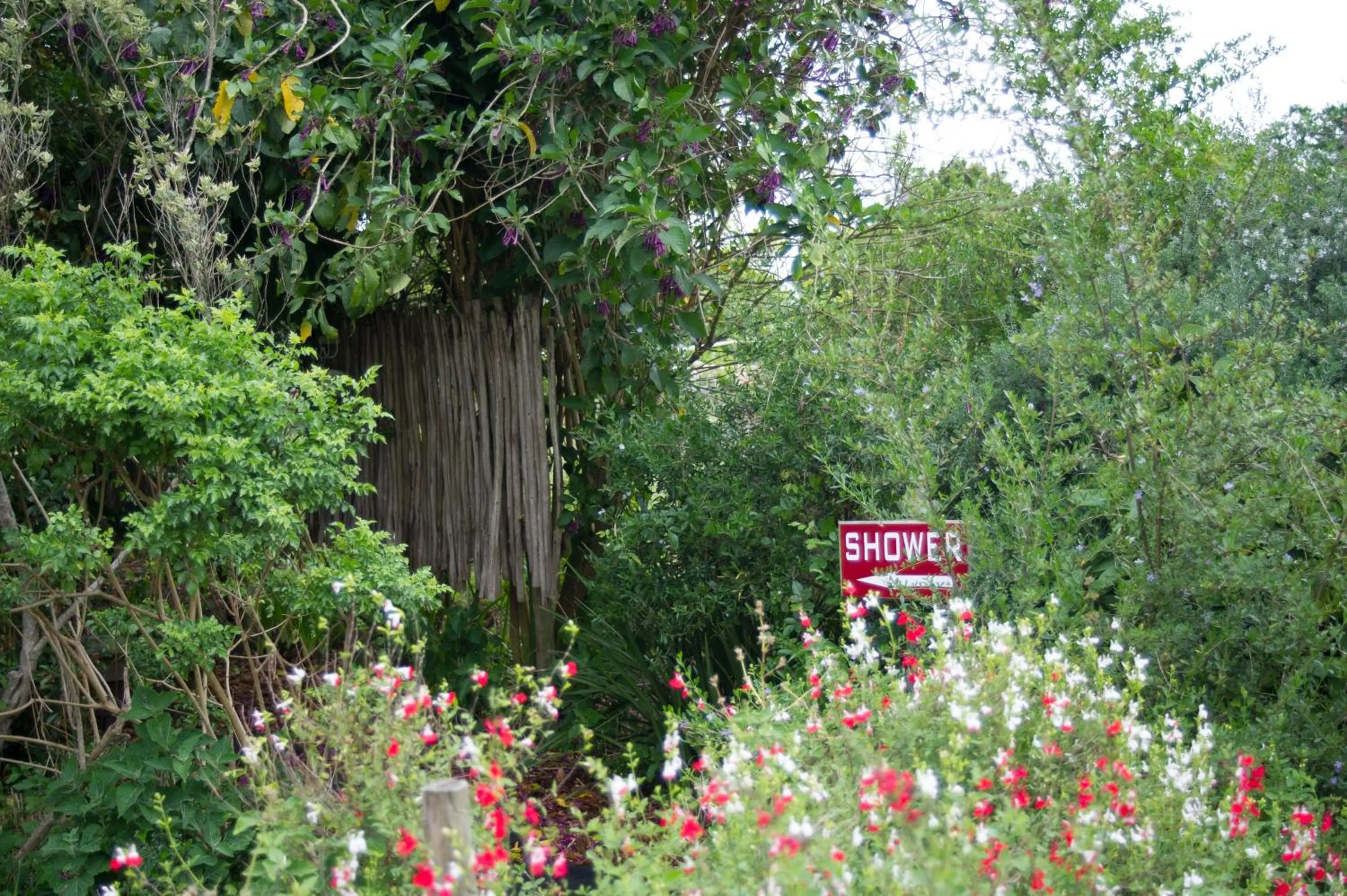 Shower in Oakhurst Farm Cottages