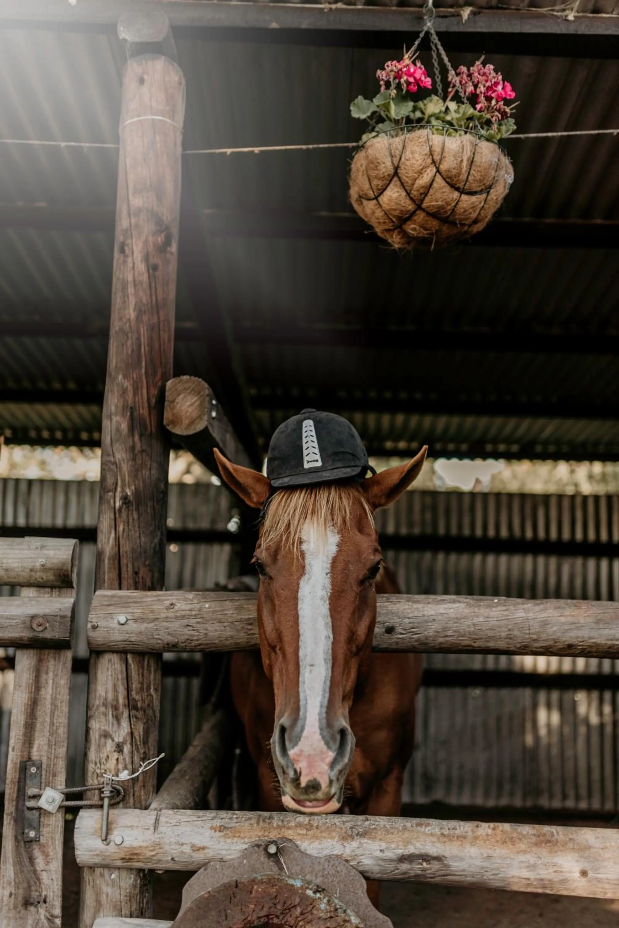 Activities in Oakhurst Farm Cottages