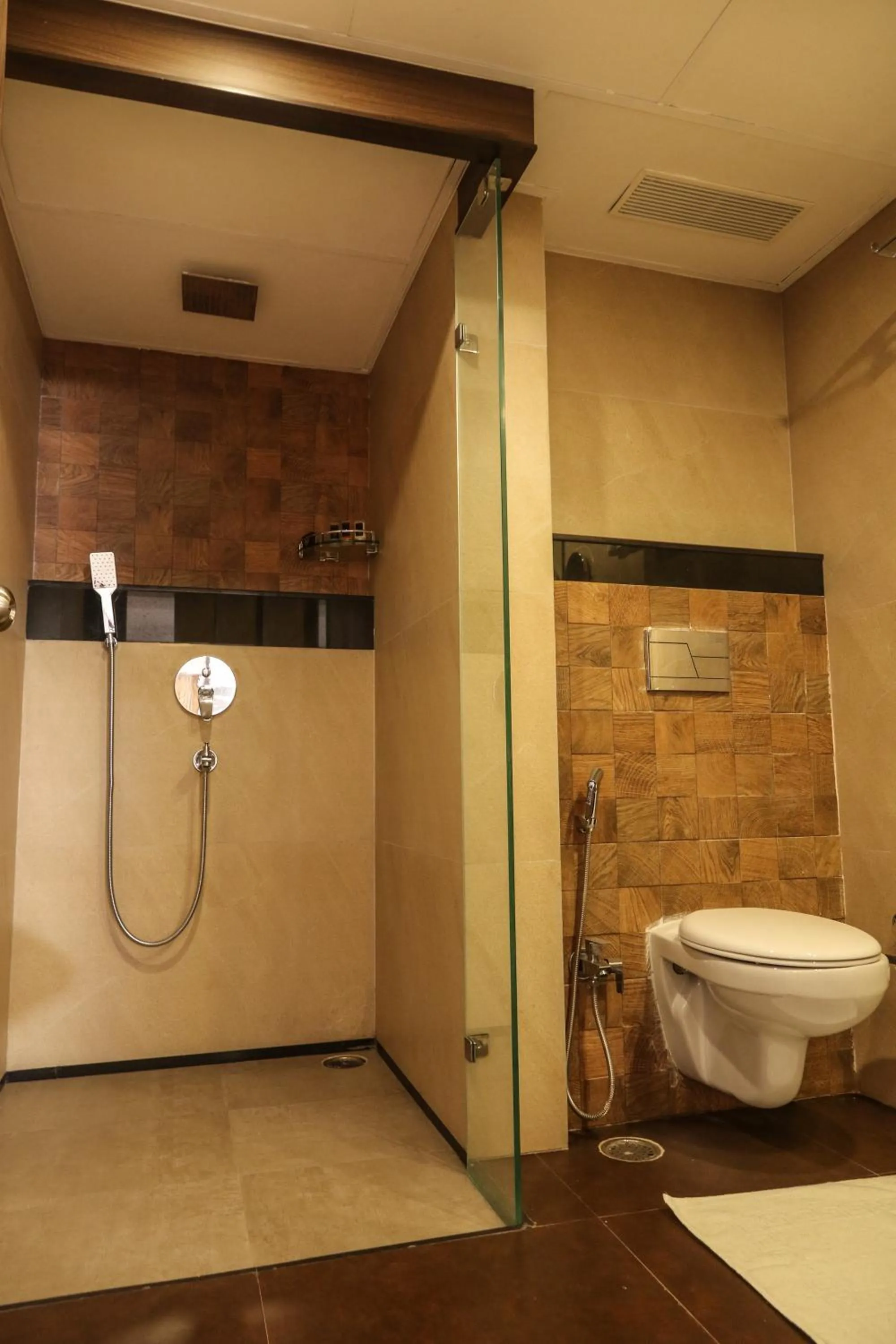 Toilet in The Grand Asansol