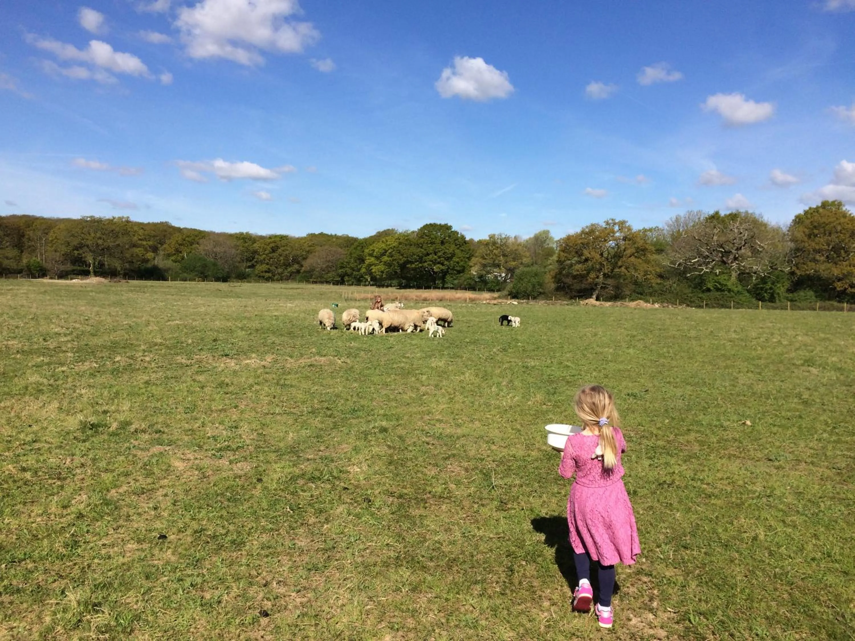 Animals in Luxurious Rural Cabin with Hot Tub