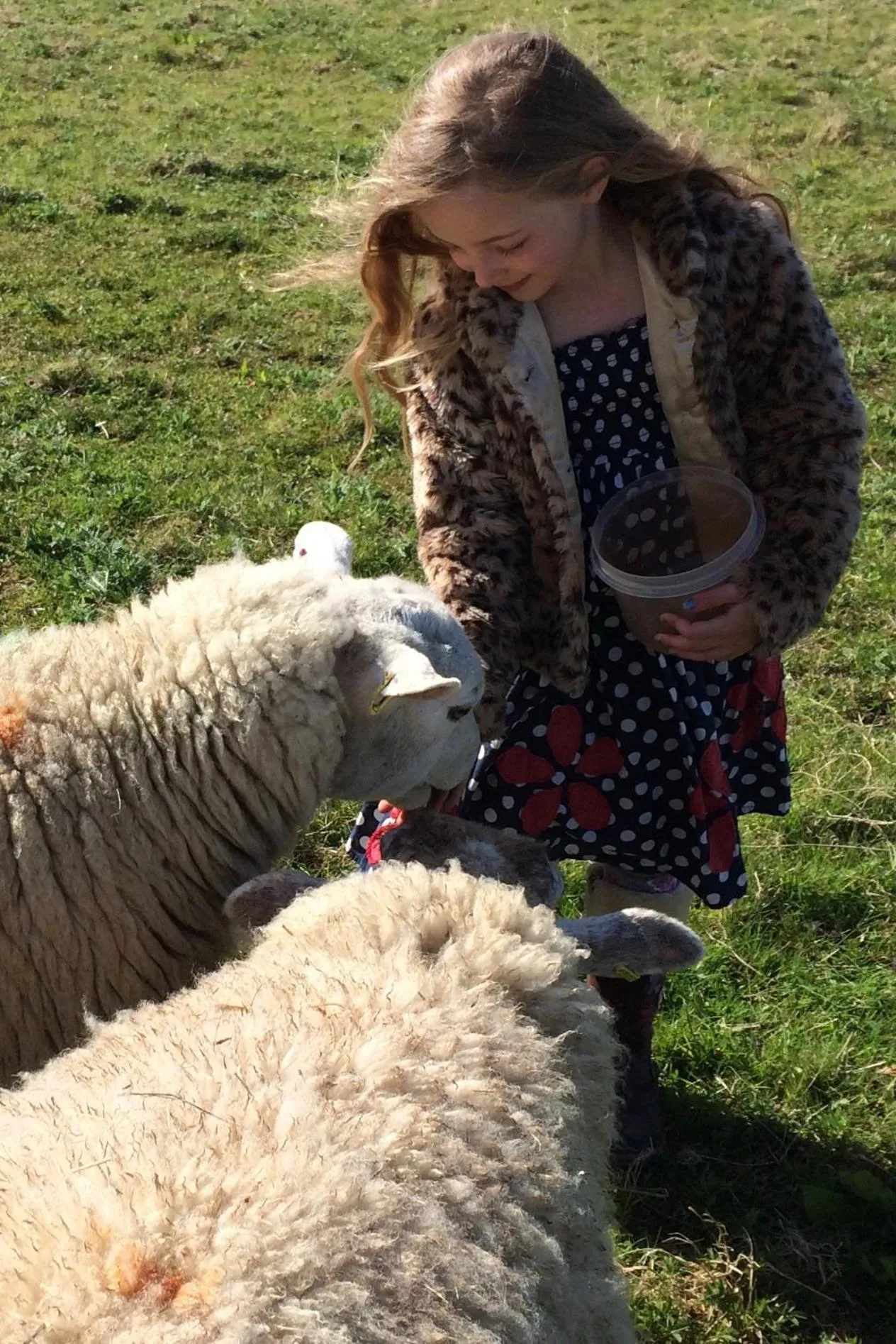 Animals in Luxurious Rural Cabin with Hot Tub