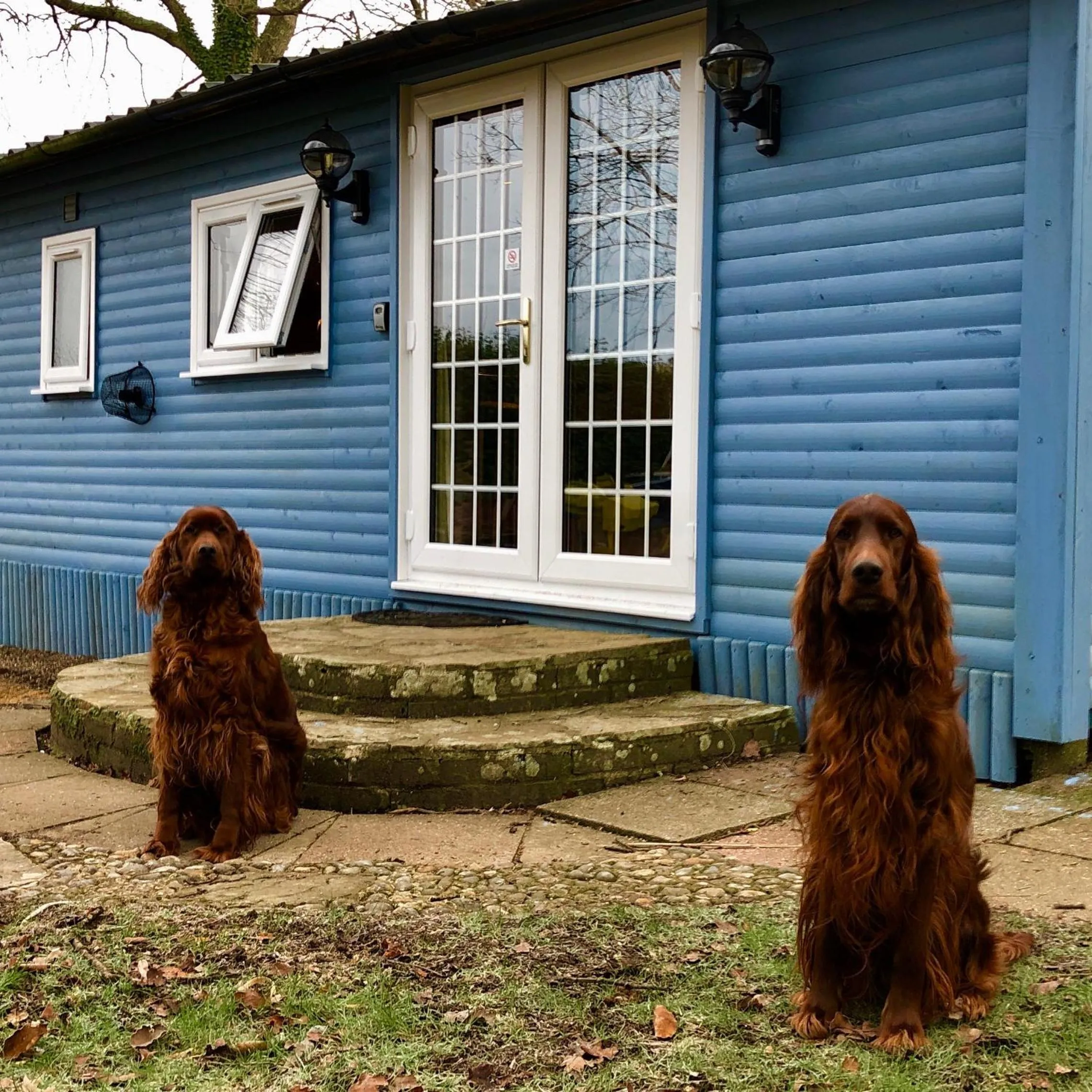 Pets in Luxurious Rural Cabin with Hot Tub