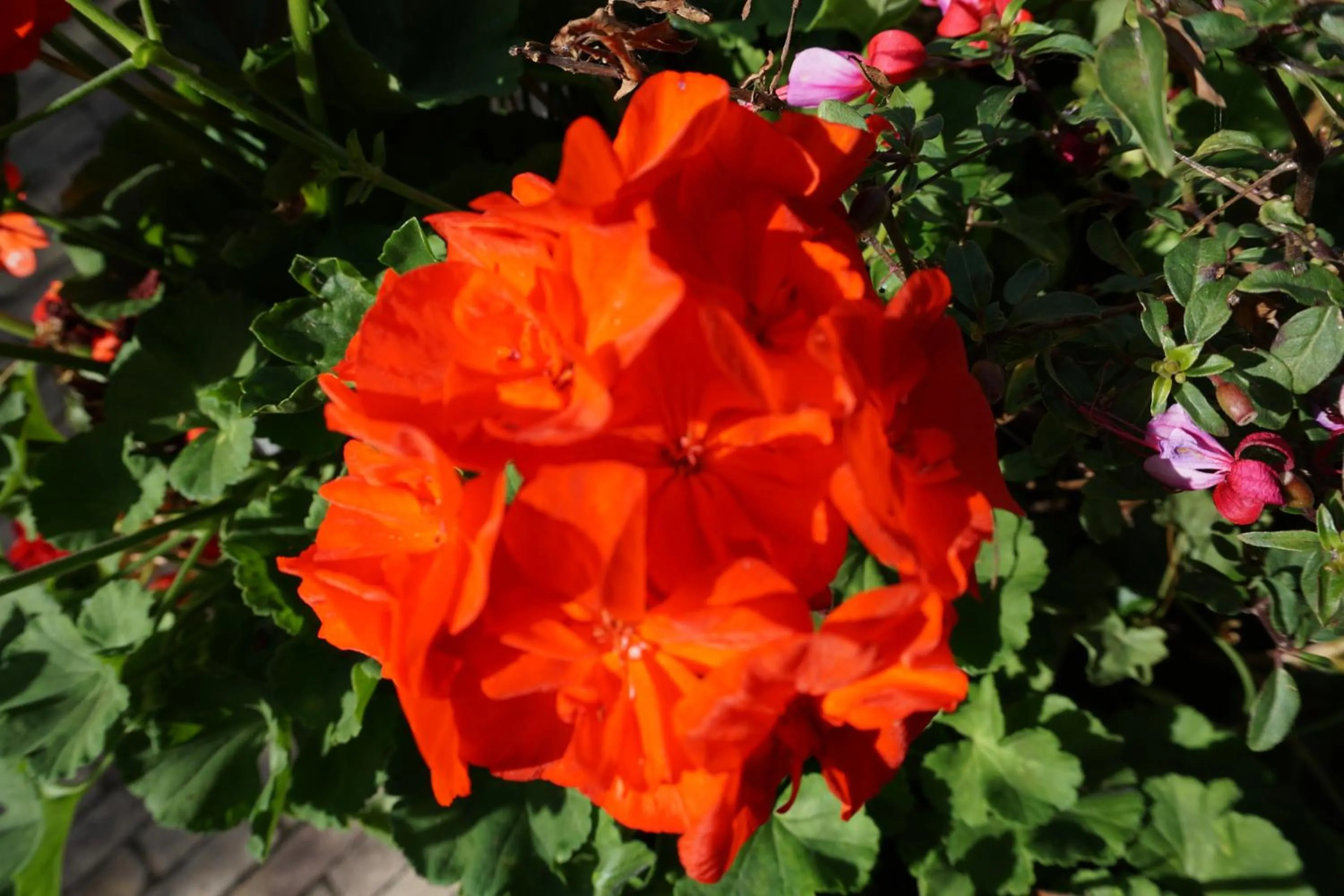 Garden in Hôtel Anaïade, The Originals City, Saint-Nazaire Pornichet