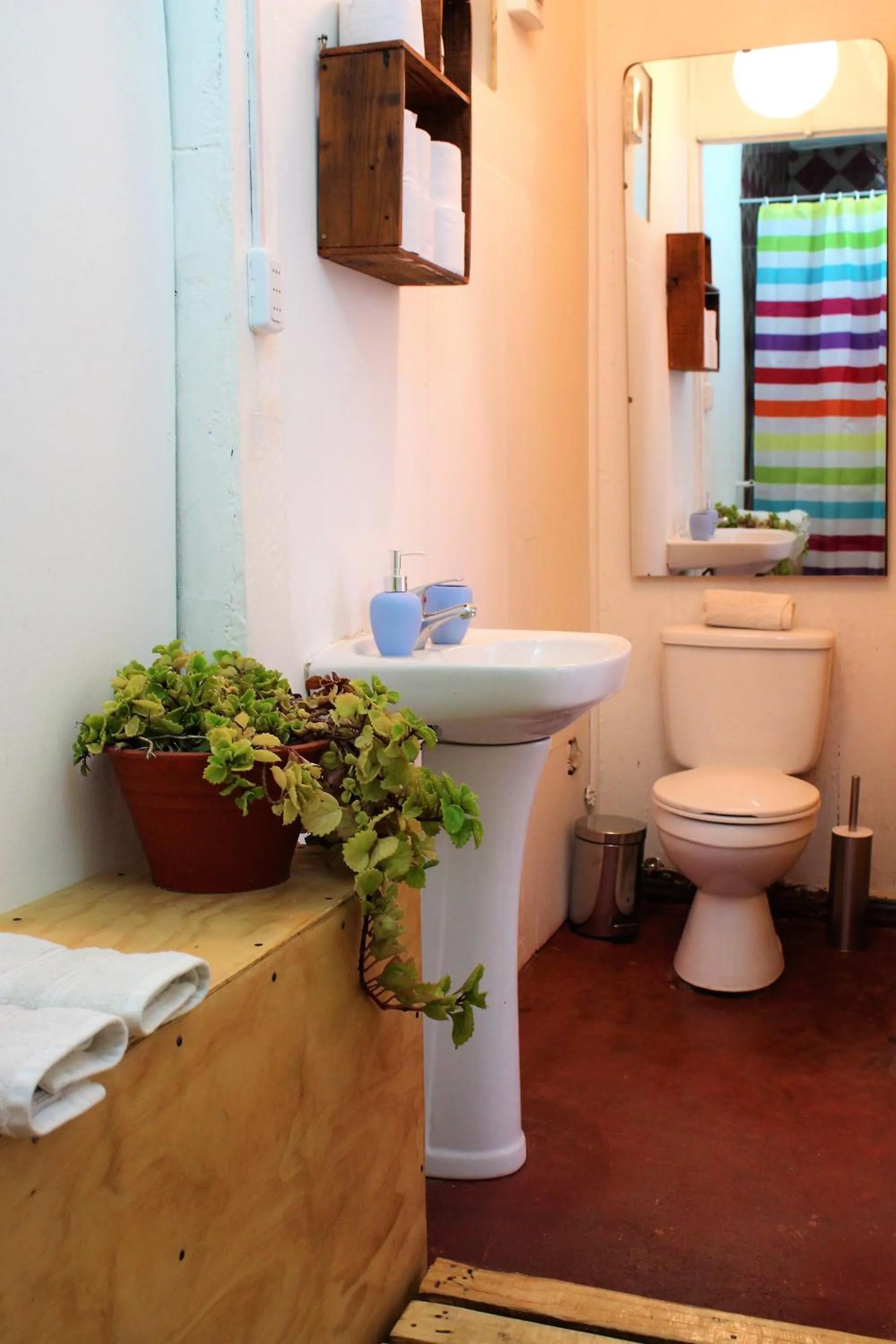 Area and facilities in Casa Volante Hostal