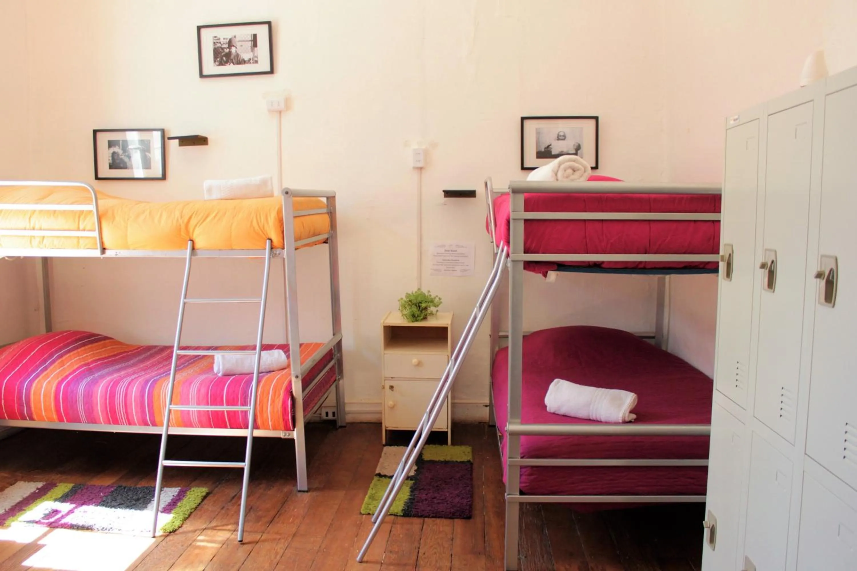 bunk bed, Bed in Casa Volante Hostal
