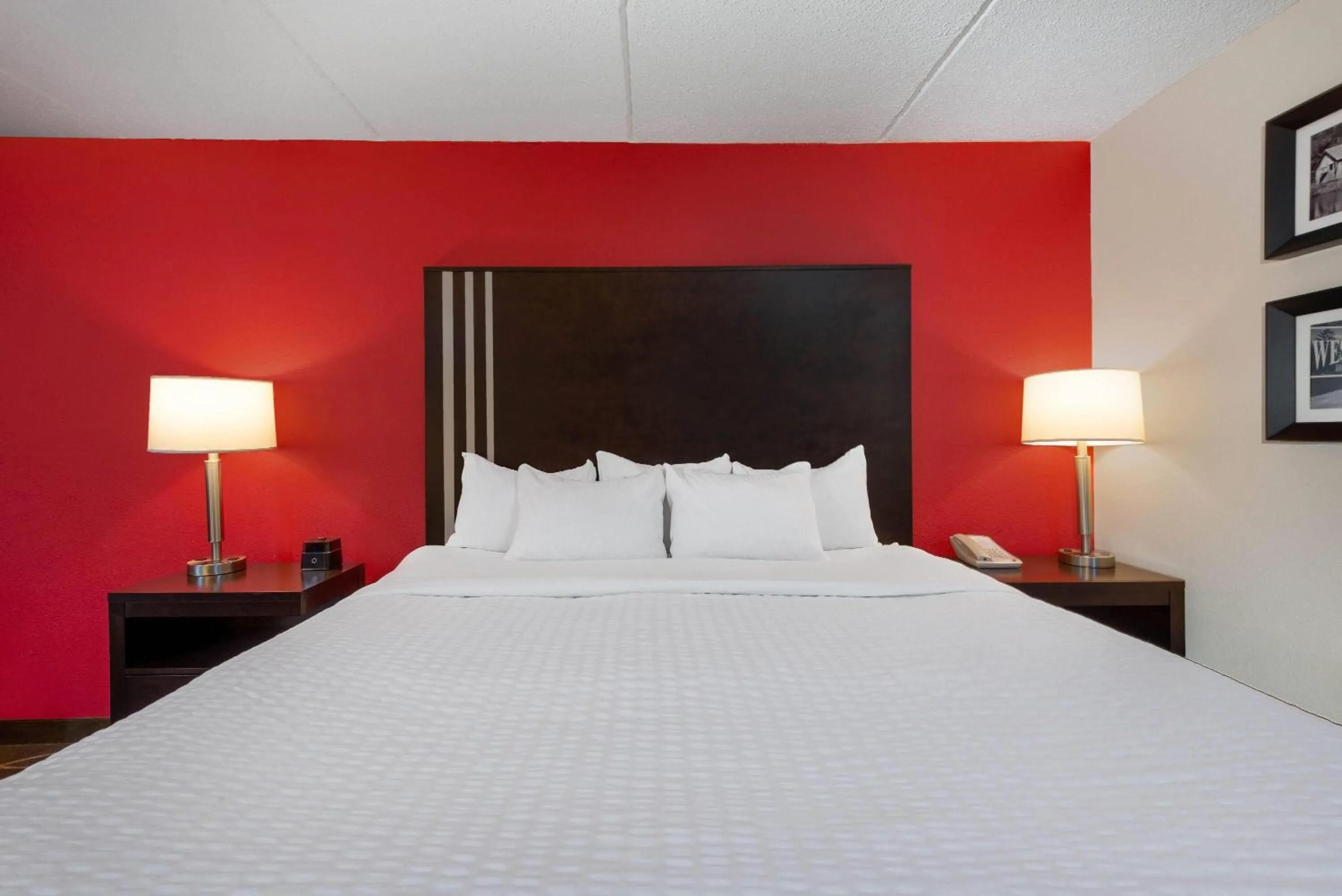 Photo of the whole room, Bed in La Quinta Inn & Suites - New River Gorge National Park