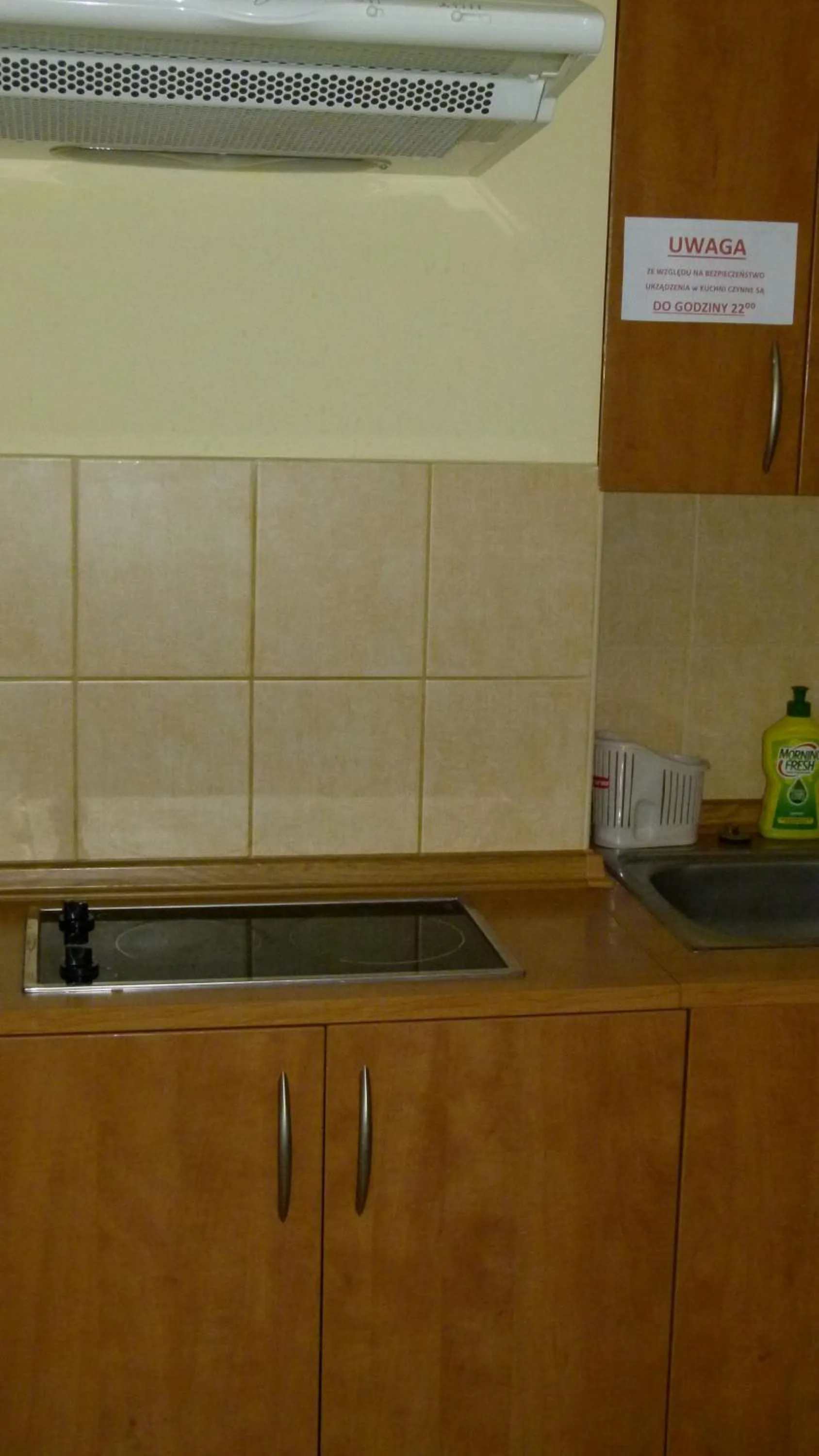 Communal kitchen in Willa IKA