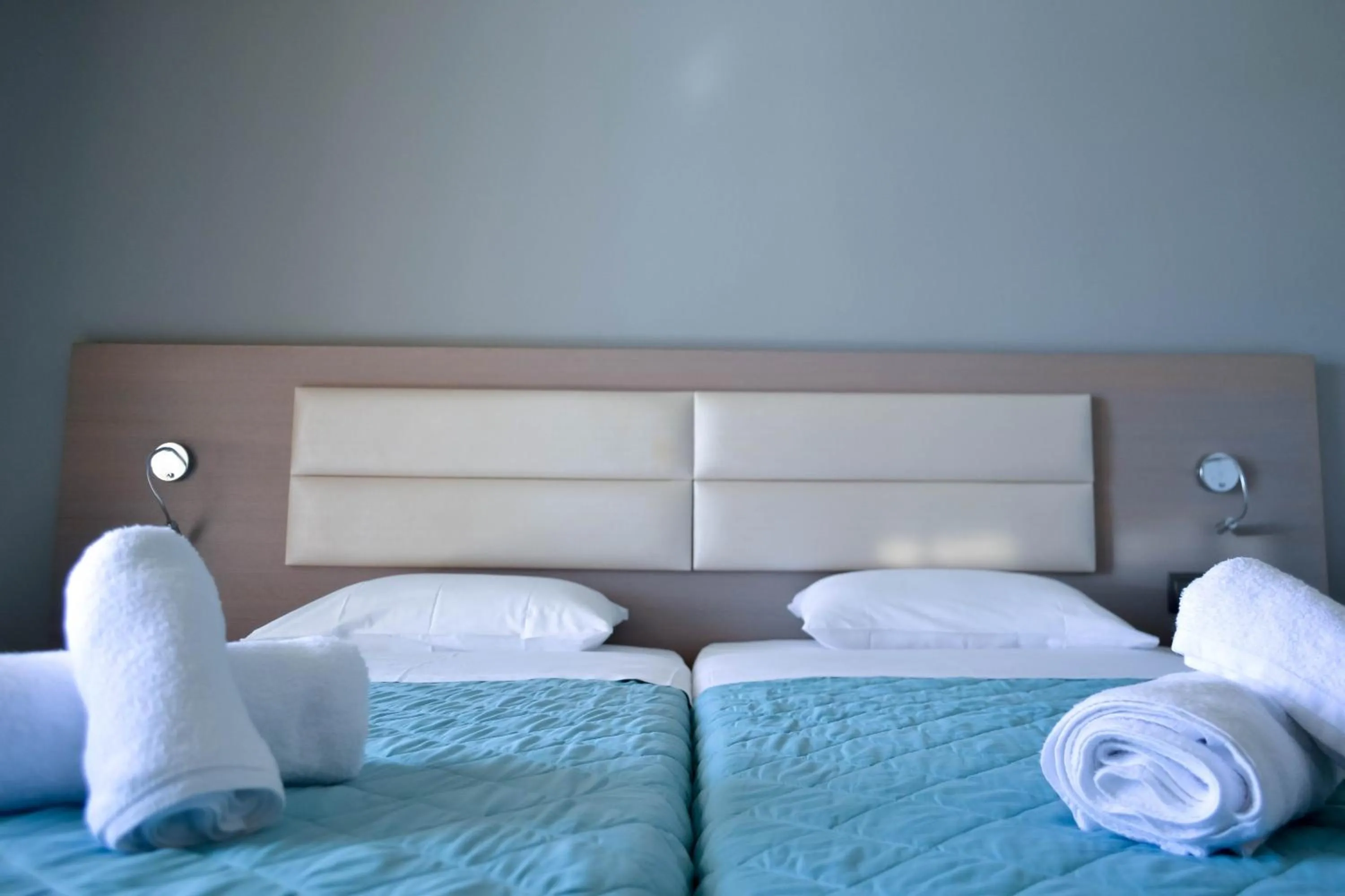 Bed in Olympia