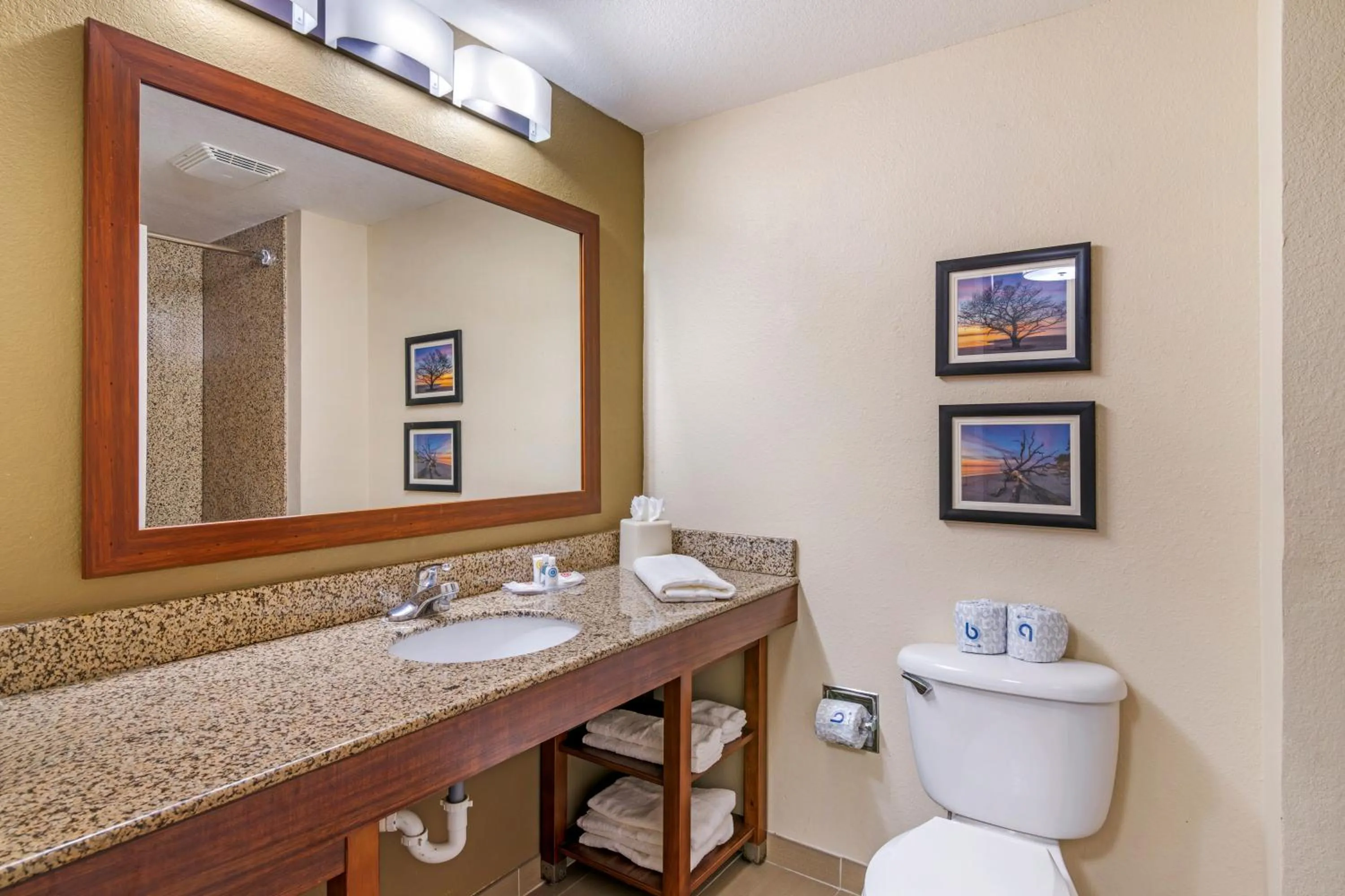 Comfort Suites Brunswick