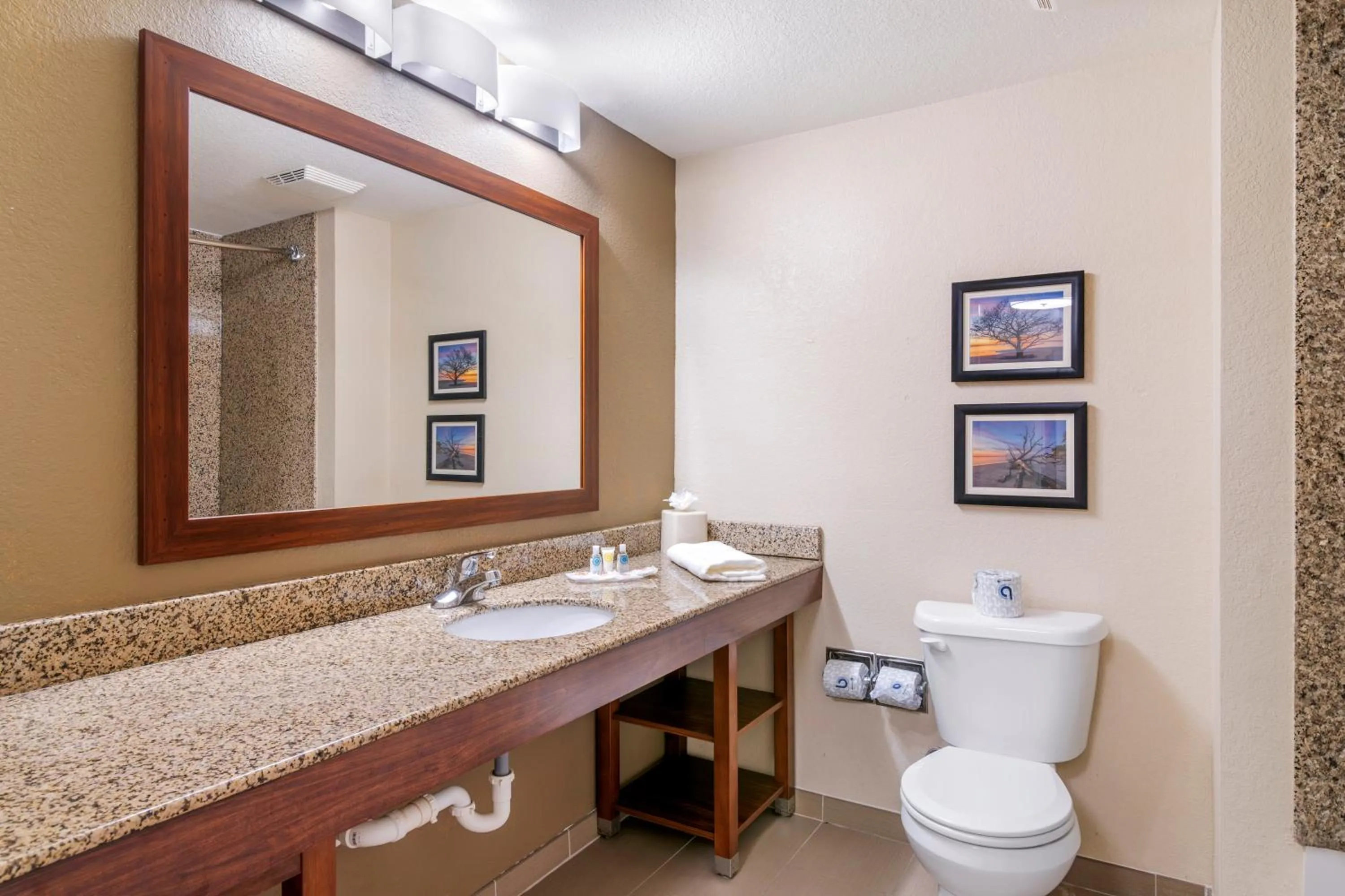 Comfort Suites Brunswick