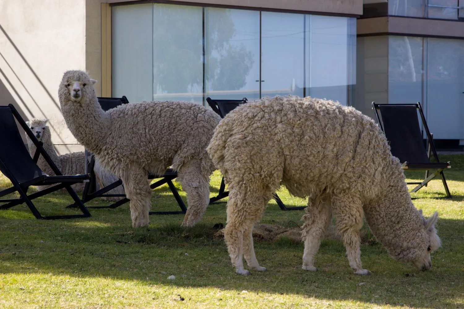 Hotel Onkel Inn Torres de Copacabana