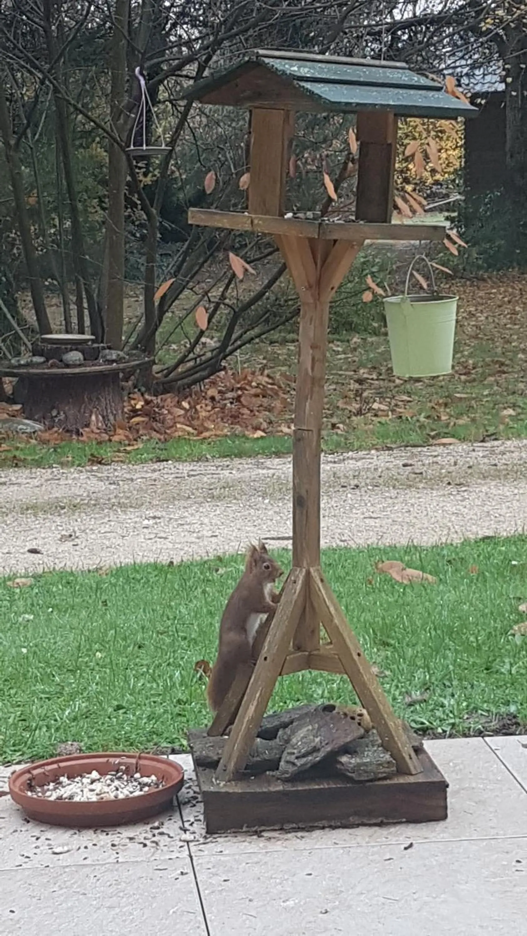 Le Clos des Écureuils