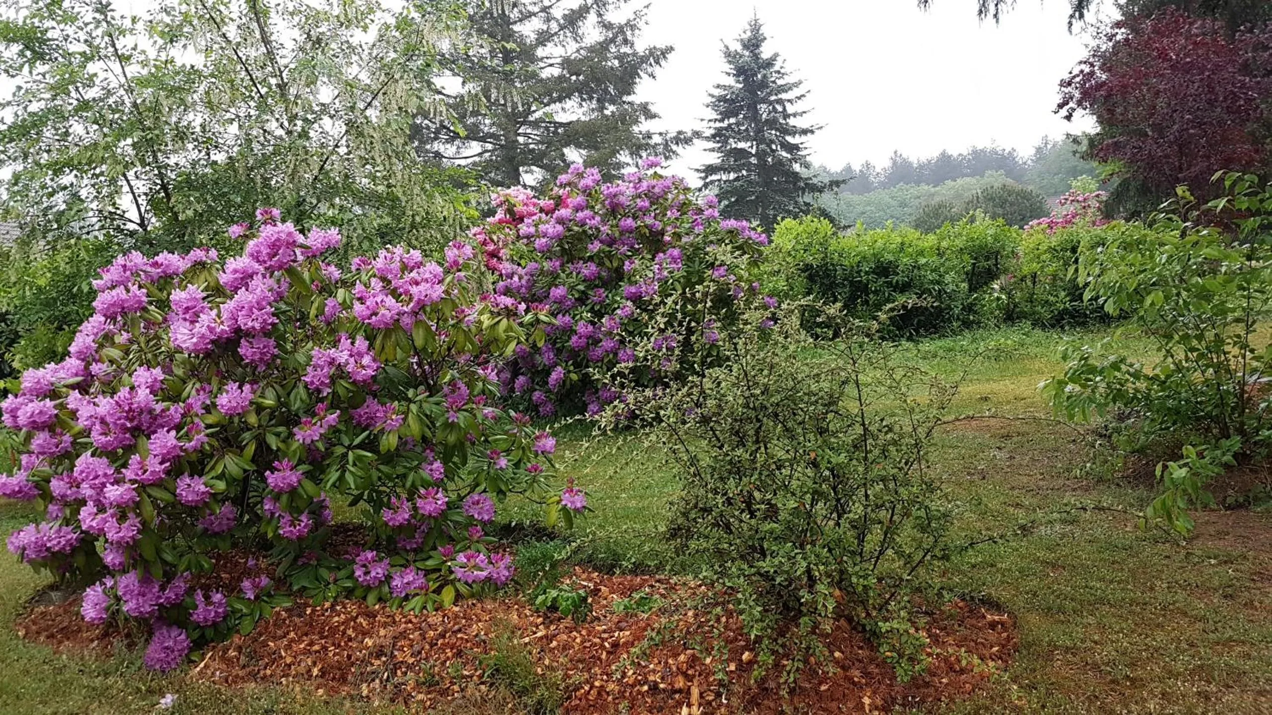 Spring in Le Clos des Écureuils