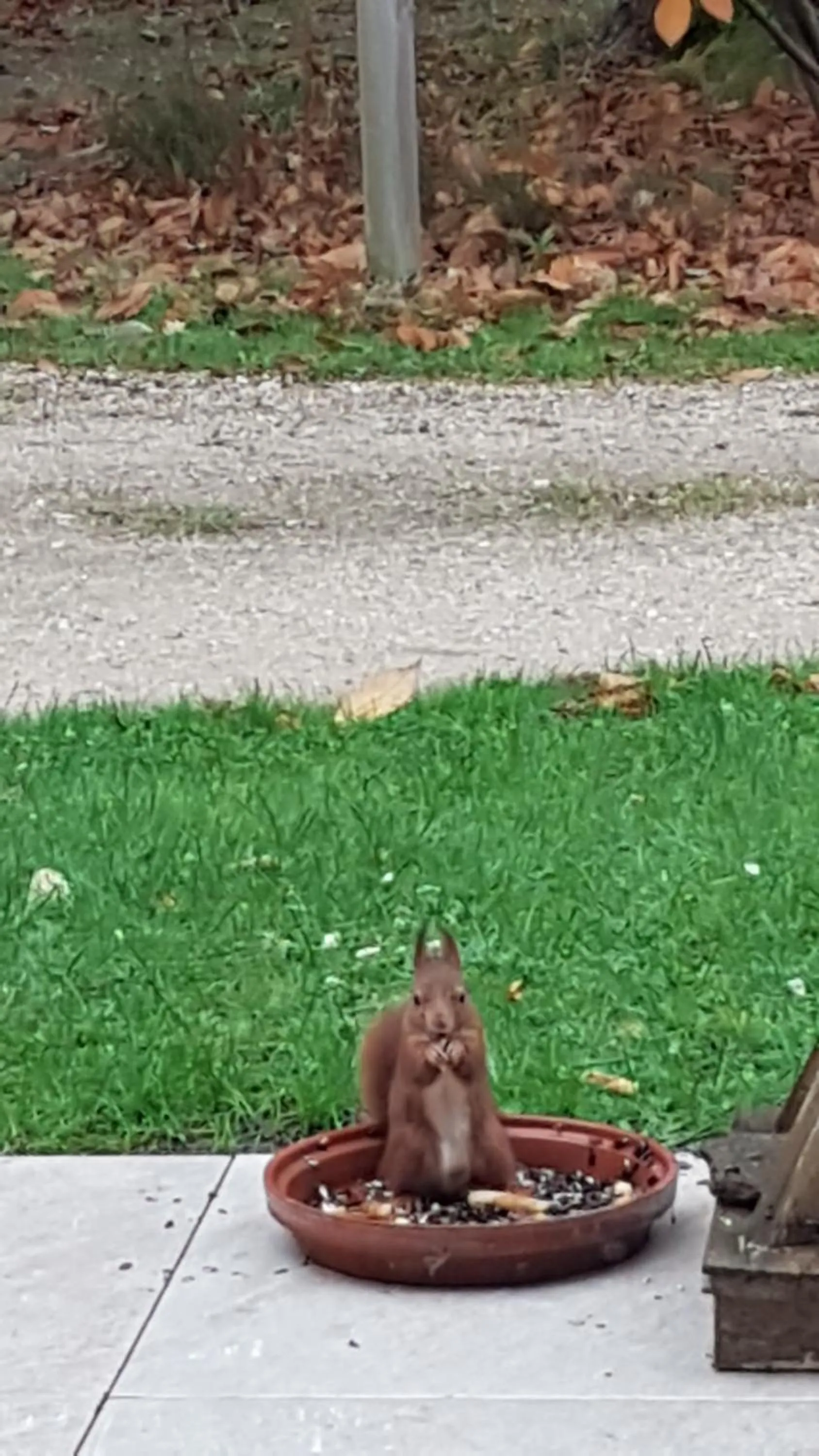 Le Clos des Écureuils