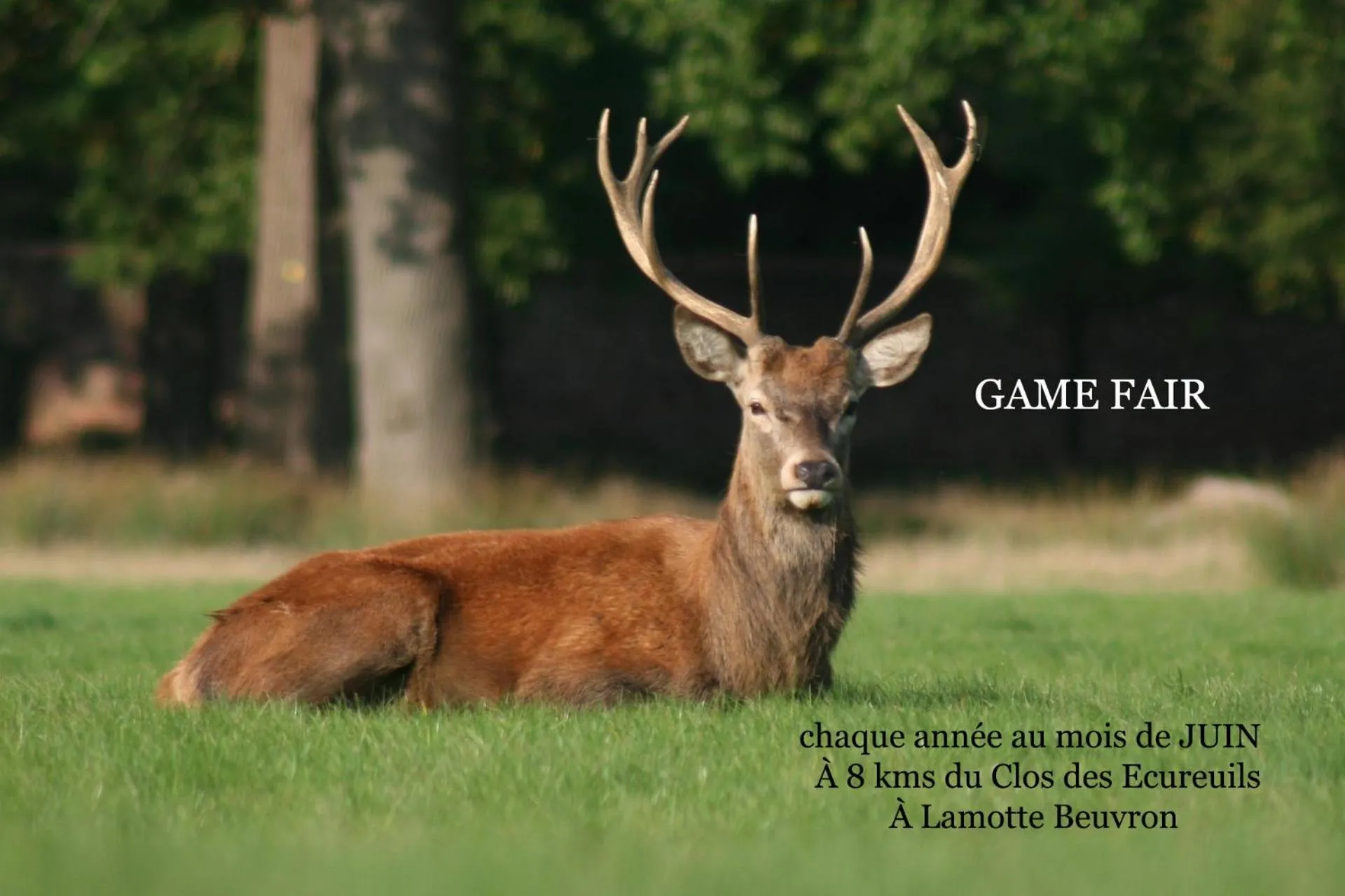 Natural landscape in Le Clos des Écureuils