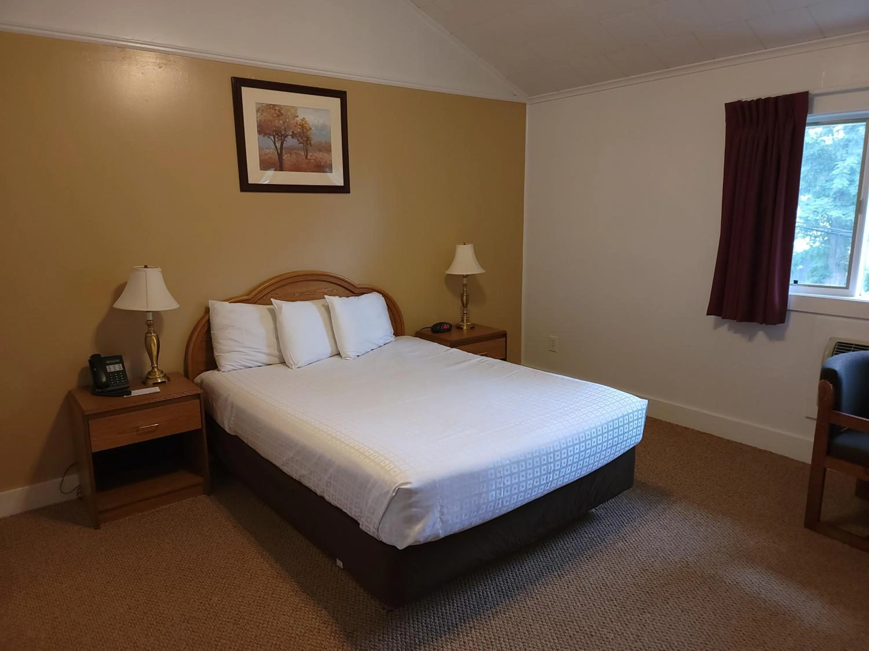Bed in Hickory Grove Motor Inn - Cooperstown