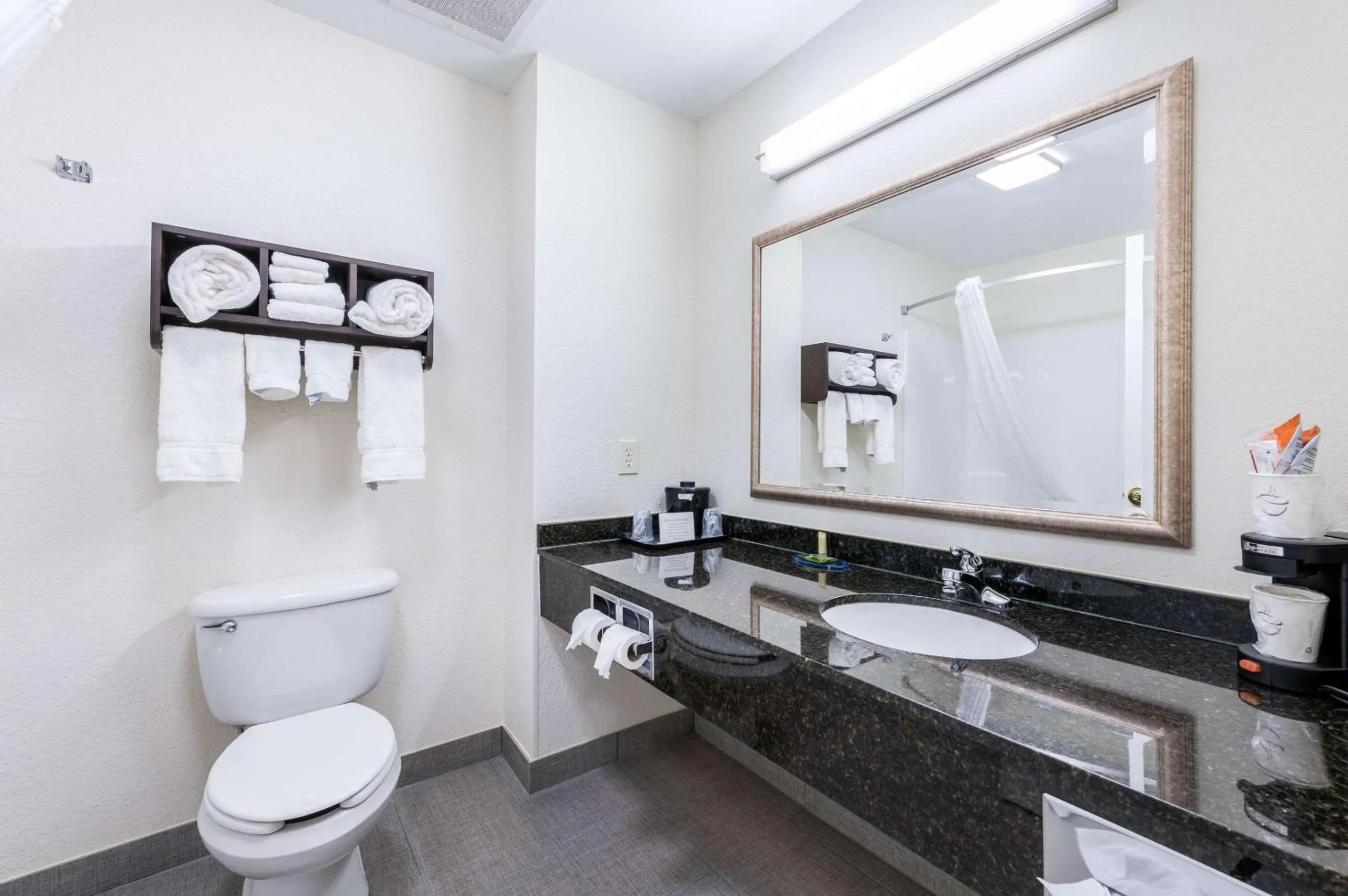 Bathroom in Clarion Pointe Madison-Huntsville