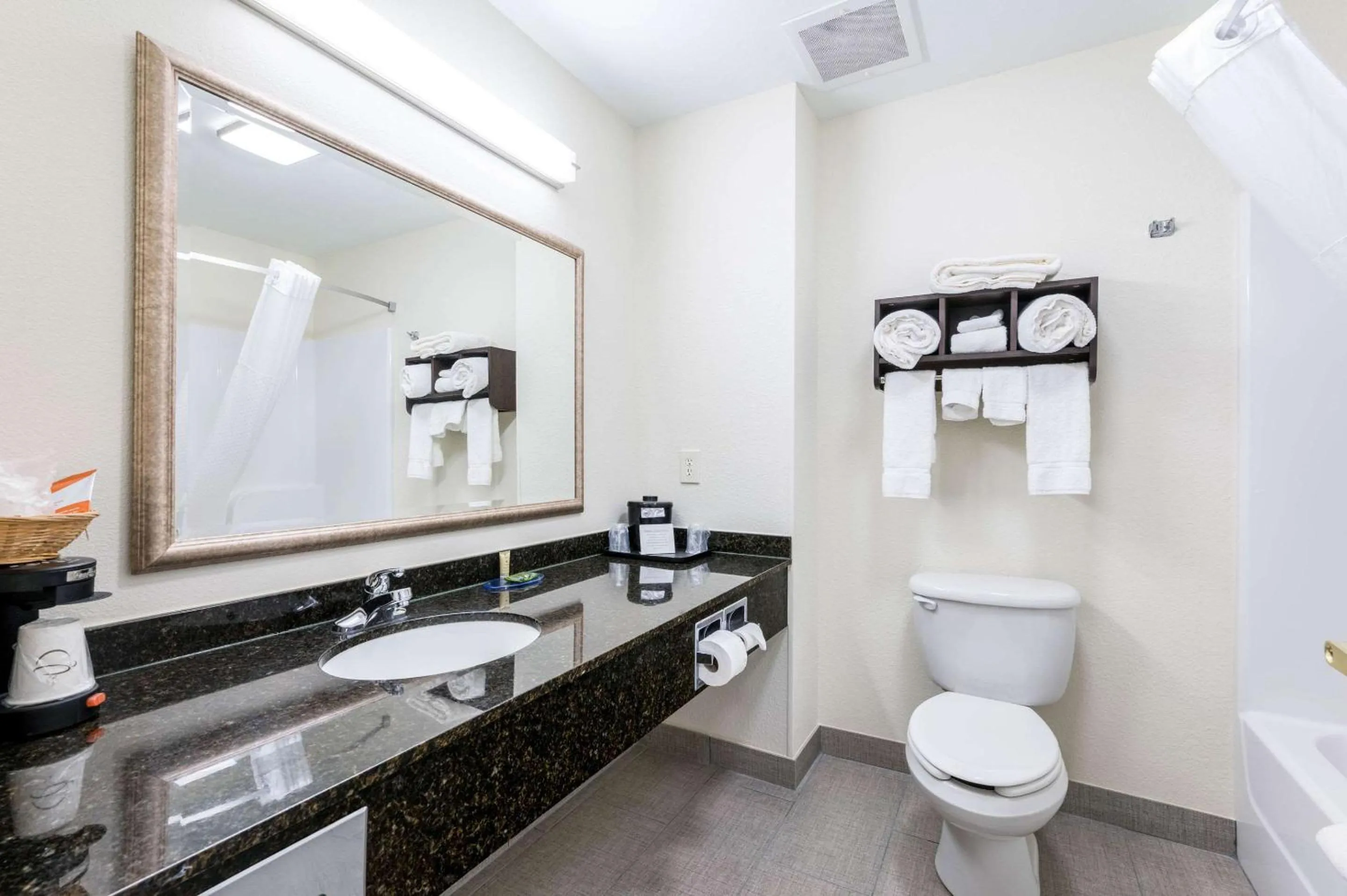 Bathroom in Clarion Pointe Madison-Huntsville