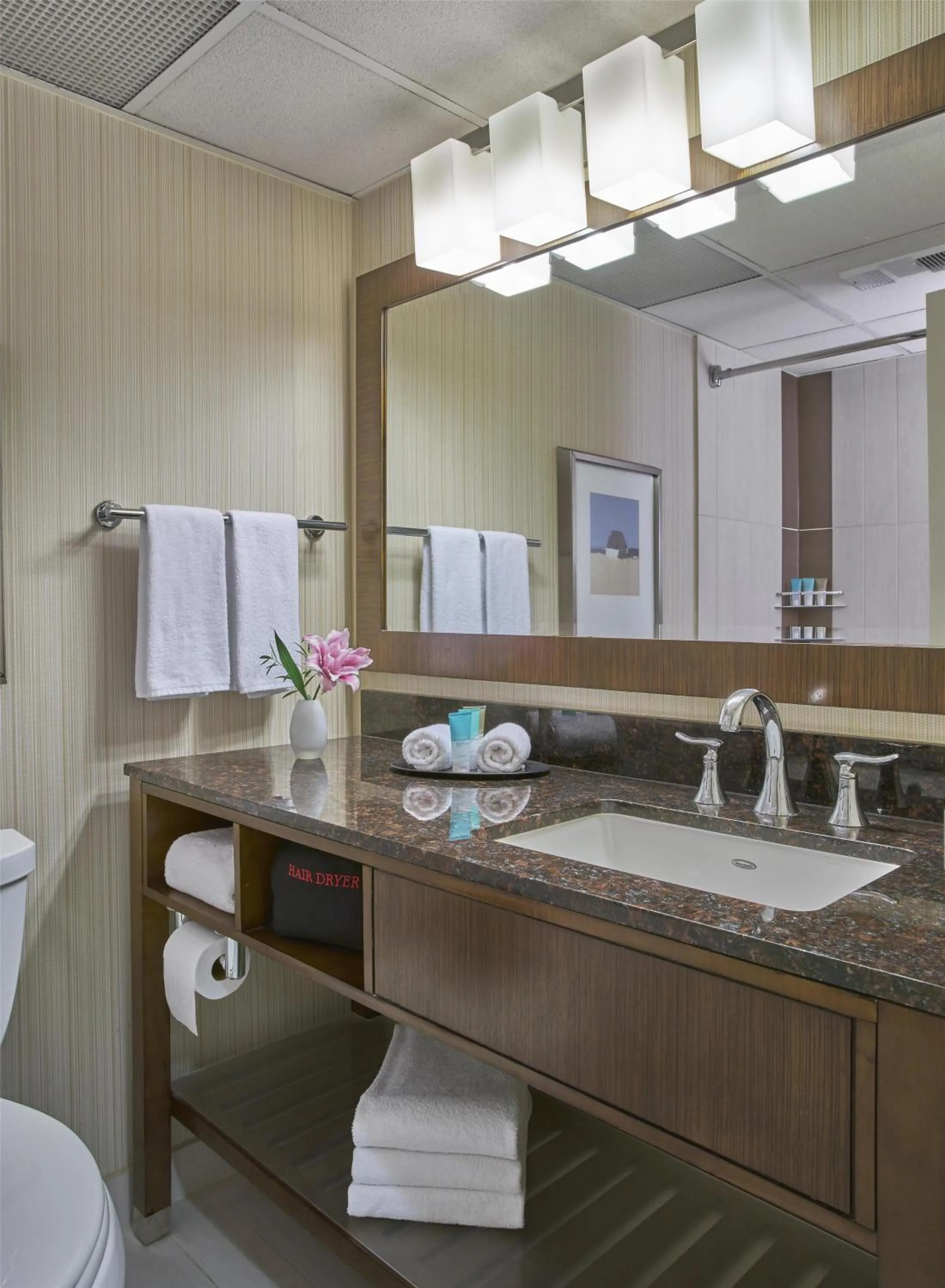 Bathroom in Hyatt Regency Milwaukee