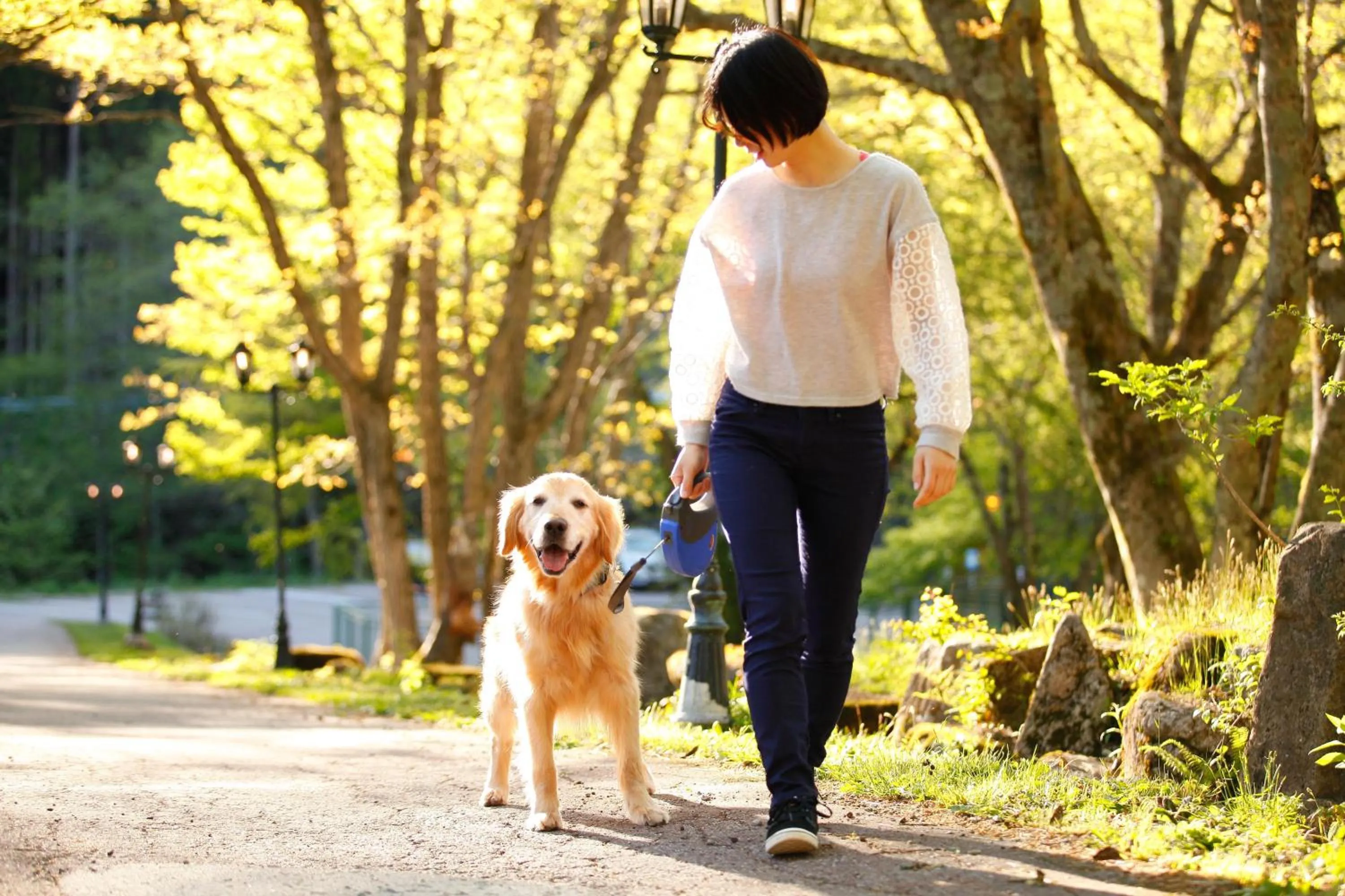 Natural landscape in Takayama Wan Wan Paradise Hotel & Cottage