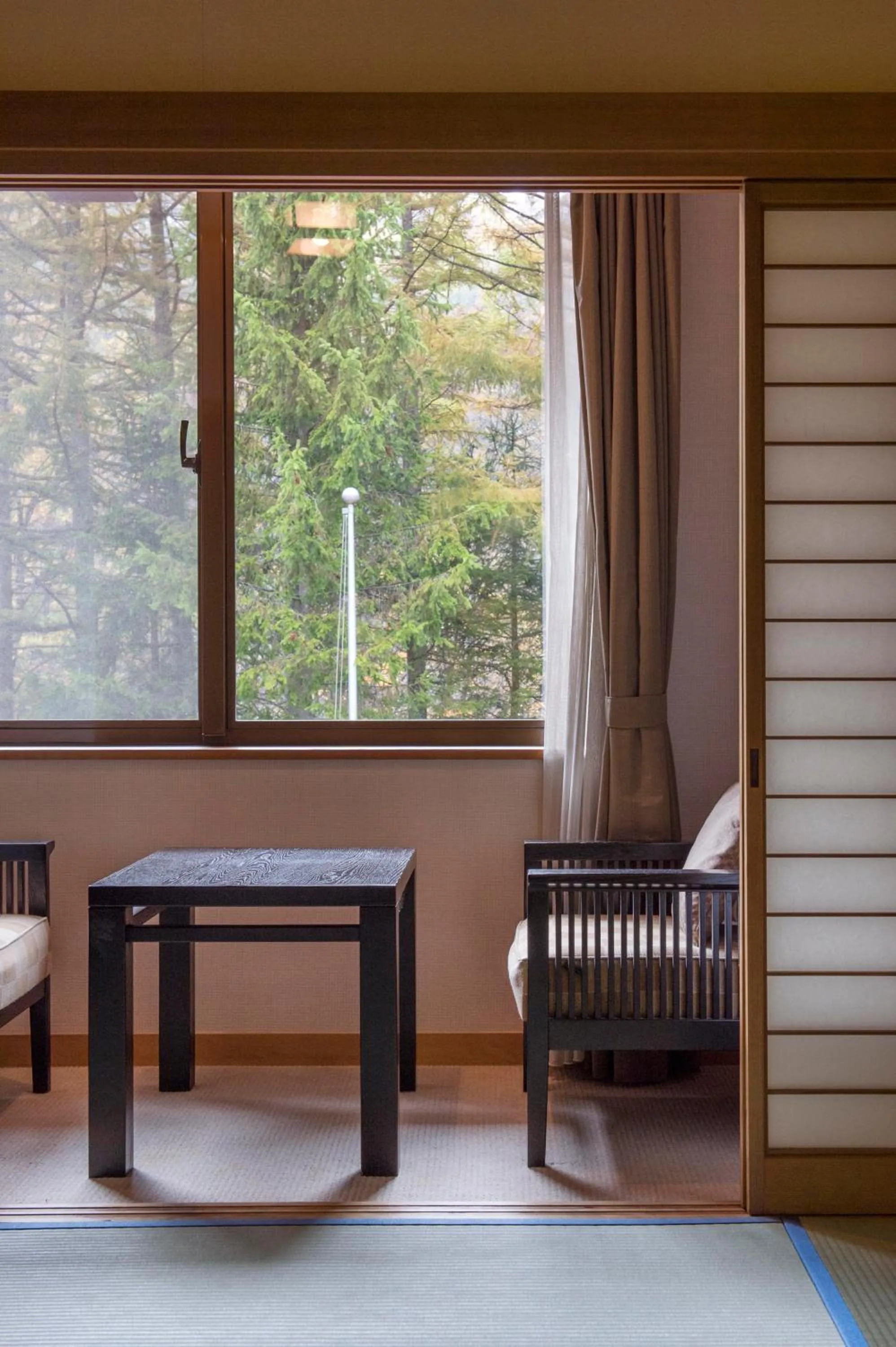 Photo of the whole room in Takayama Wan Wan Paradise Hotel & Cottage