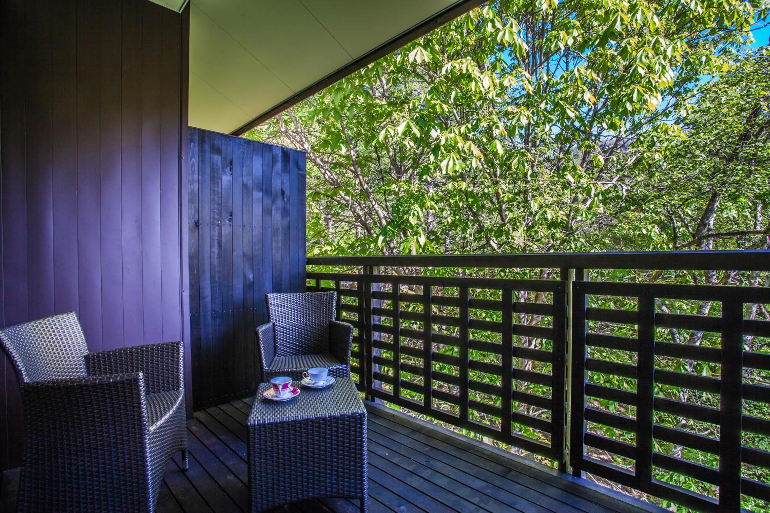 Balcony/Terrace in Takayama Wan Wan Paradise Hotel & Cottage