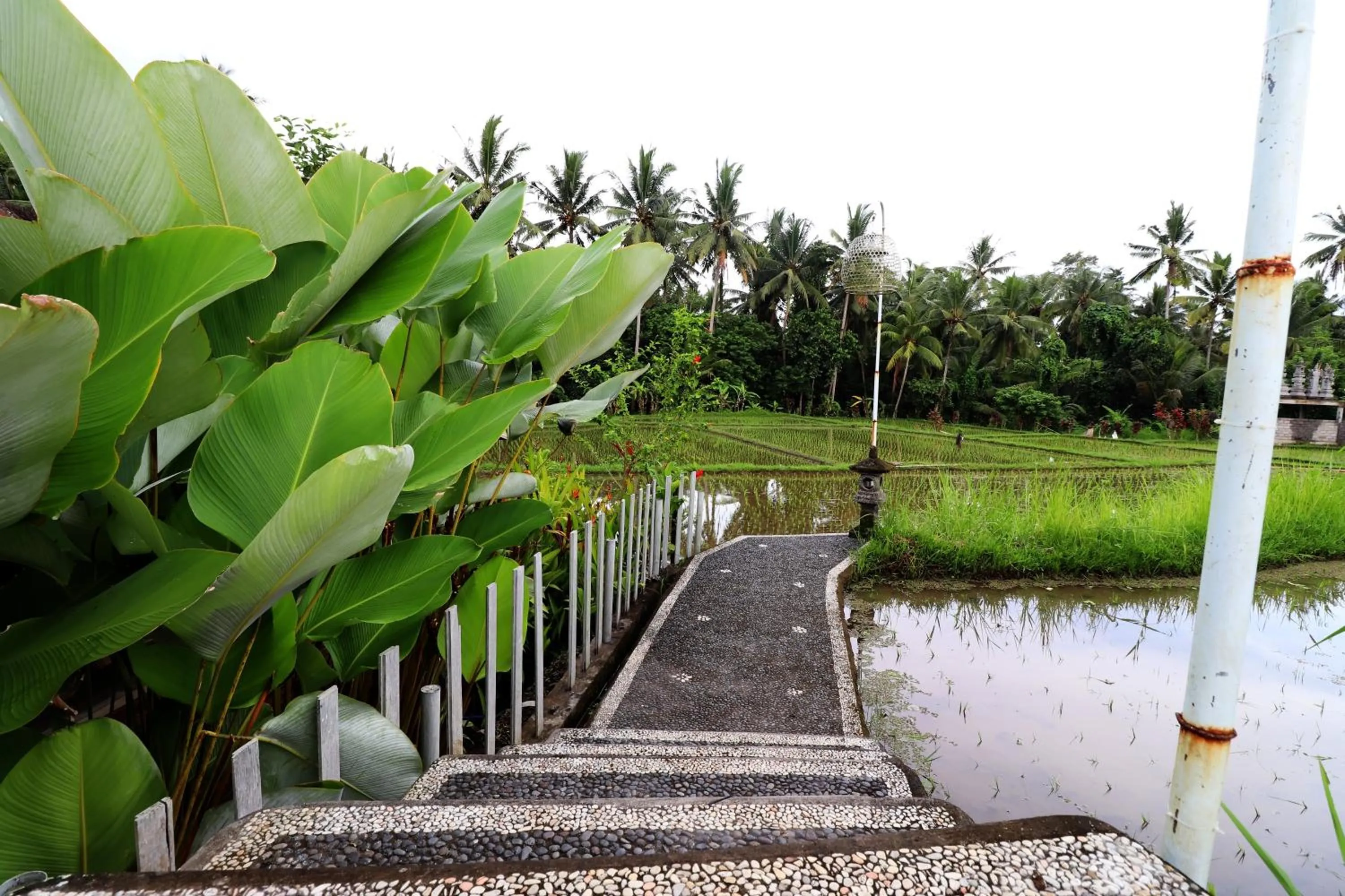Day in Villa Tirta Padi 2 Ubud