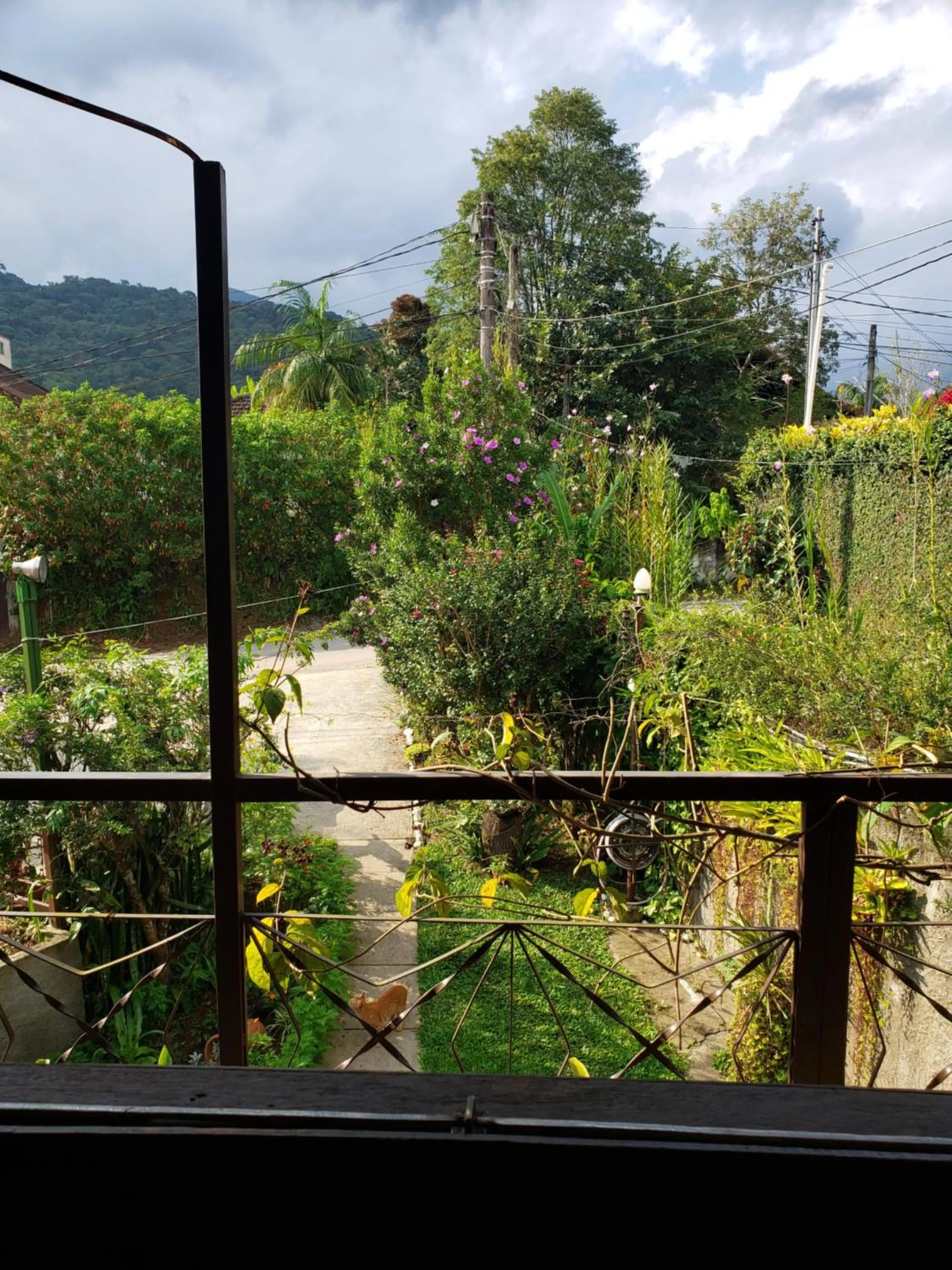 Garden in Pousada Bem Te Vi Lumiar