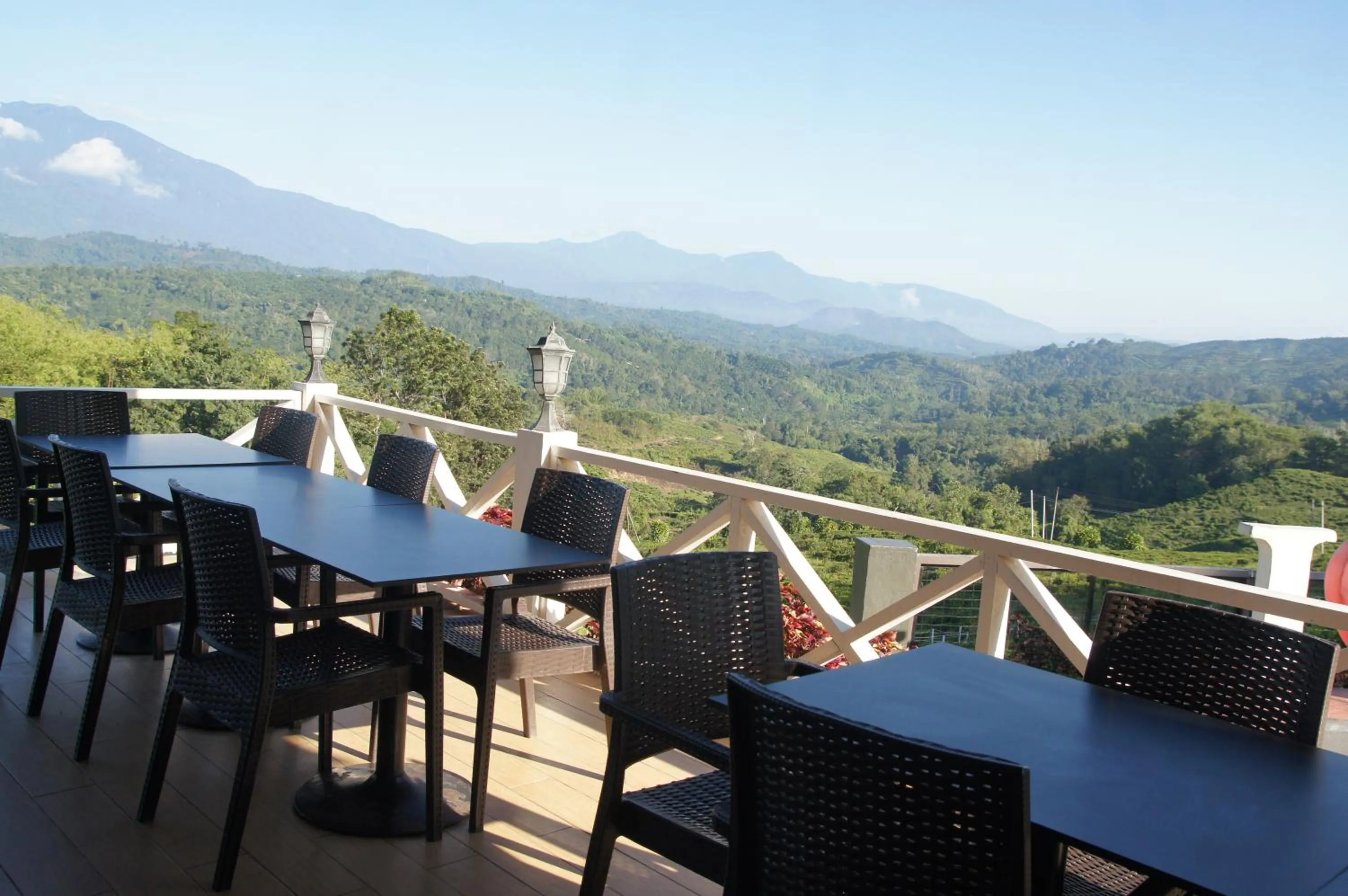 Food and drinks in Sabah Tea Resort