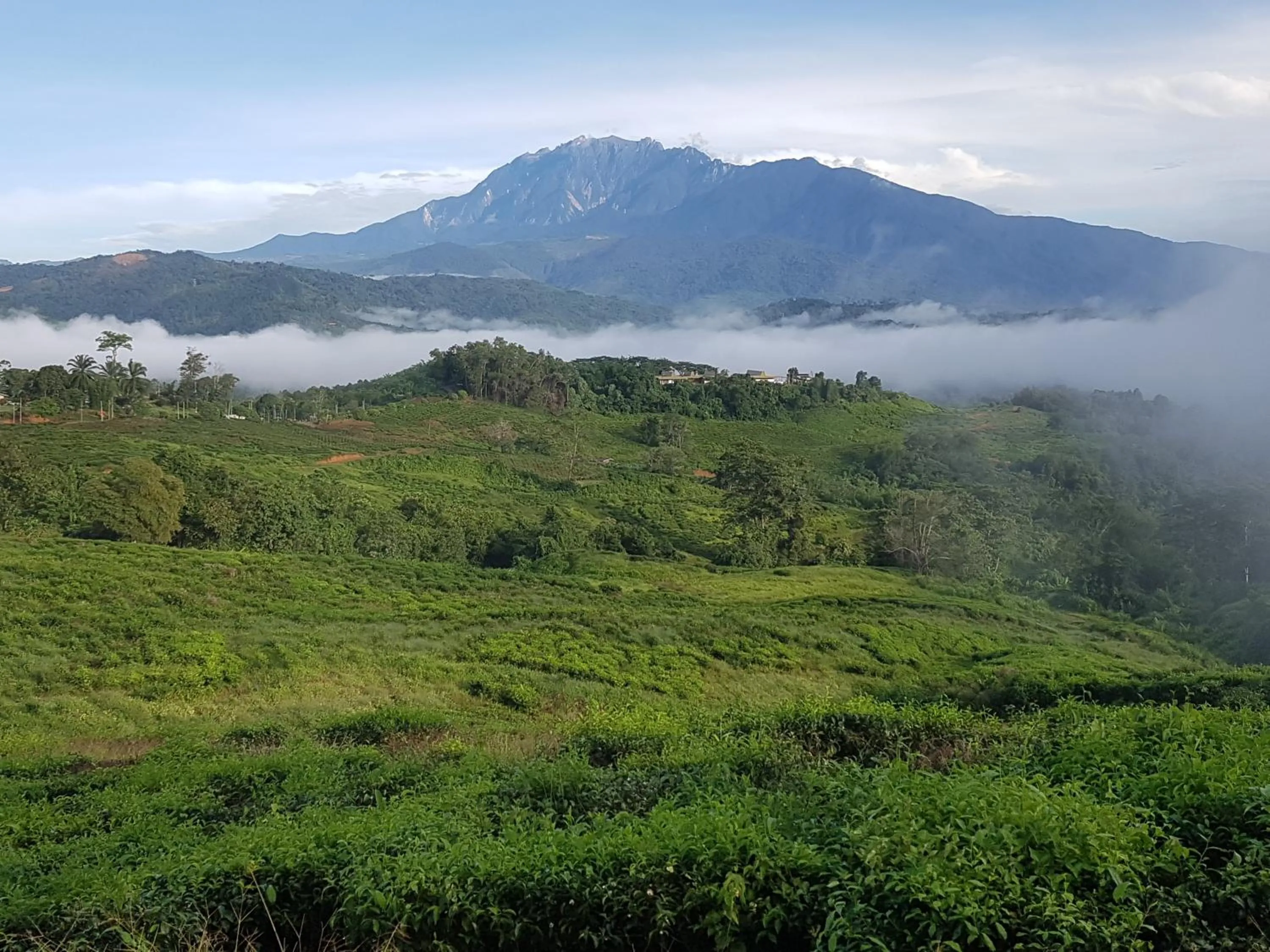 Patio in Sabah Tea Resort