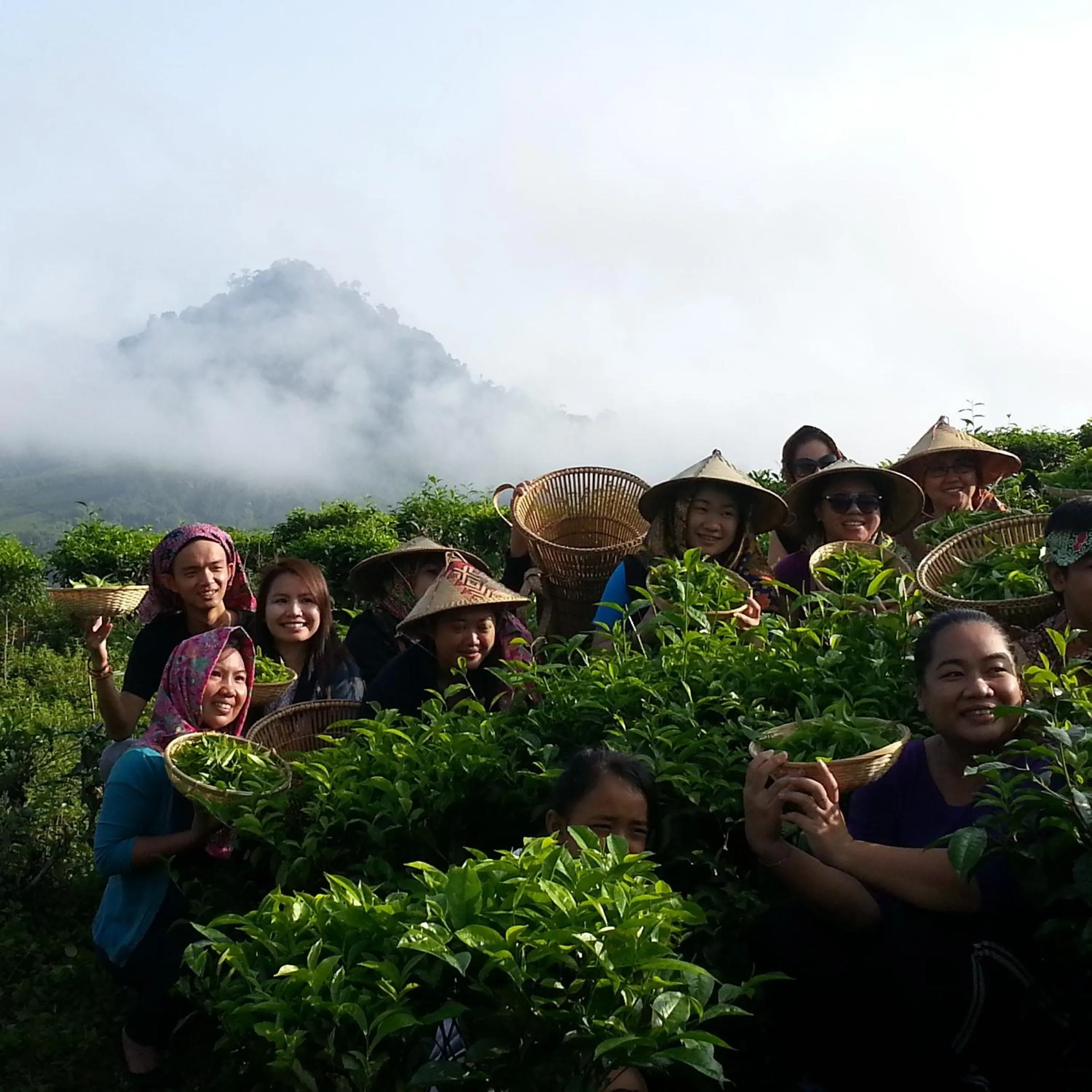 Nearby landmark in Sabah Tea Resort