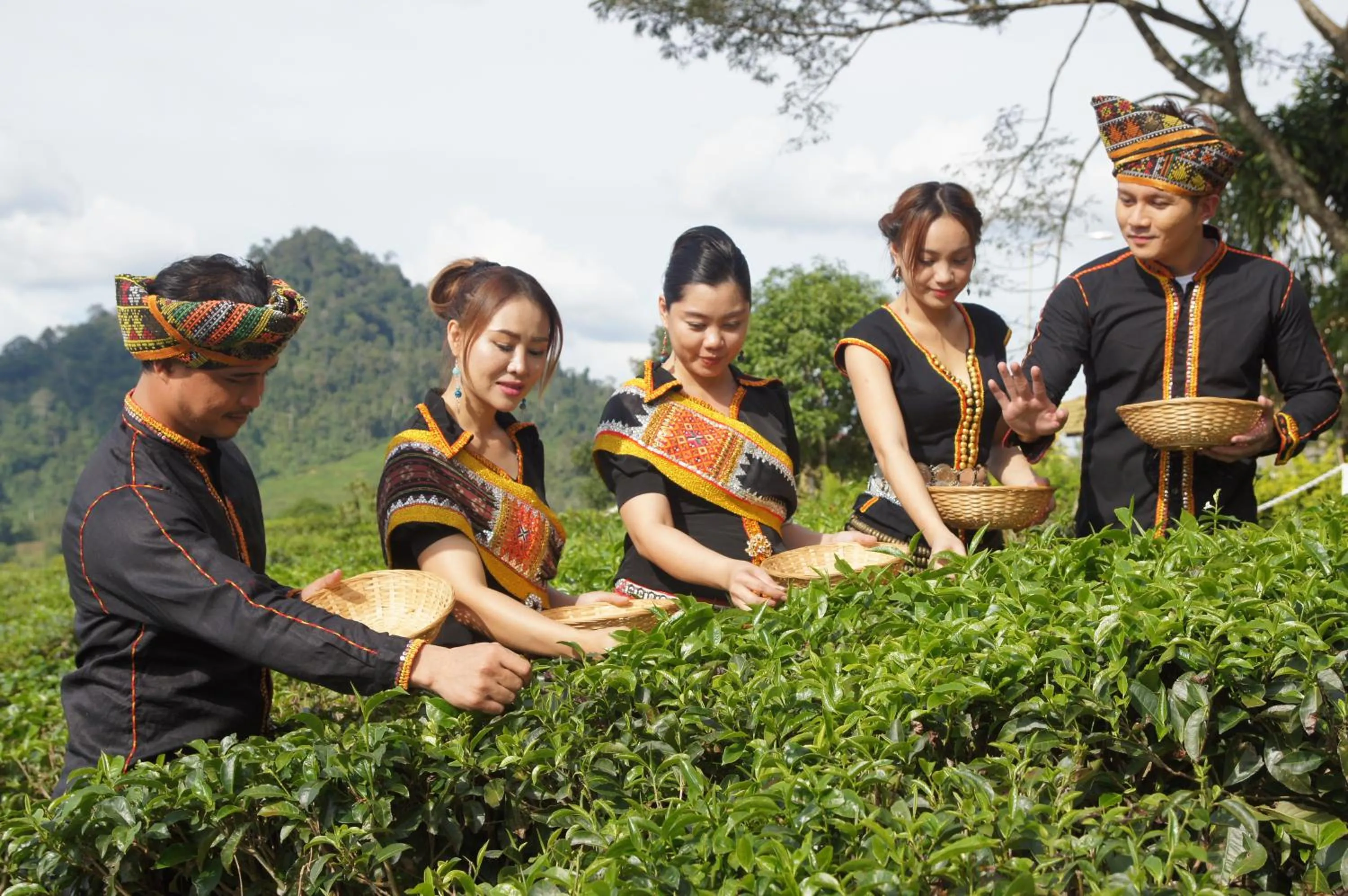 Activities in Sabah Tea Resort