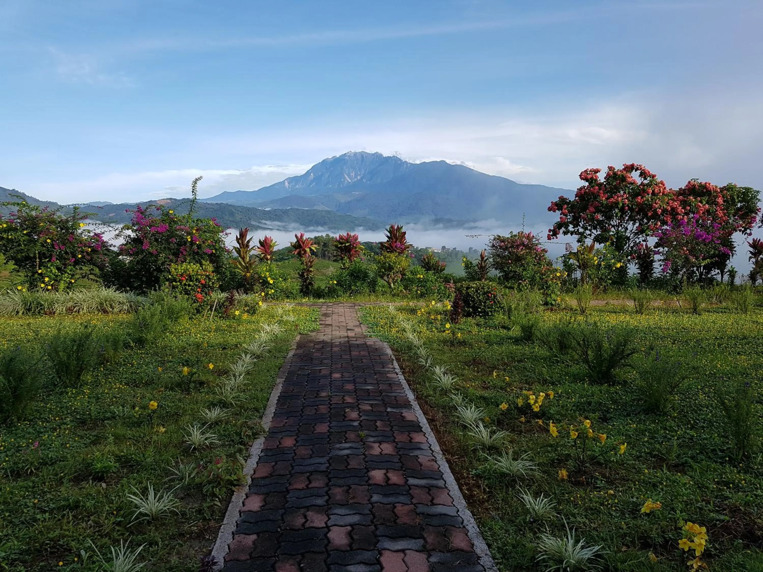 Garden in Sabah Tea Resort