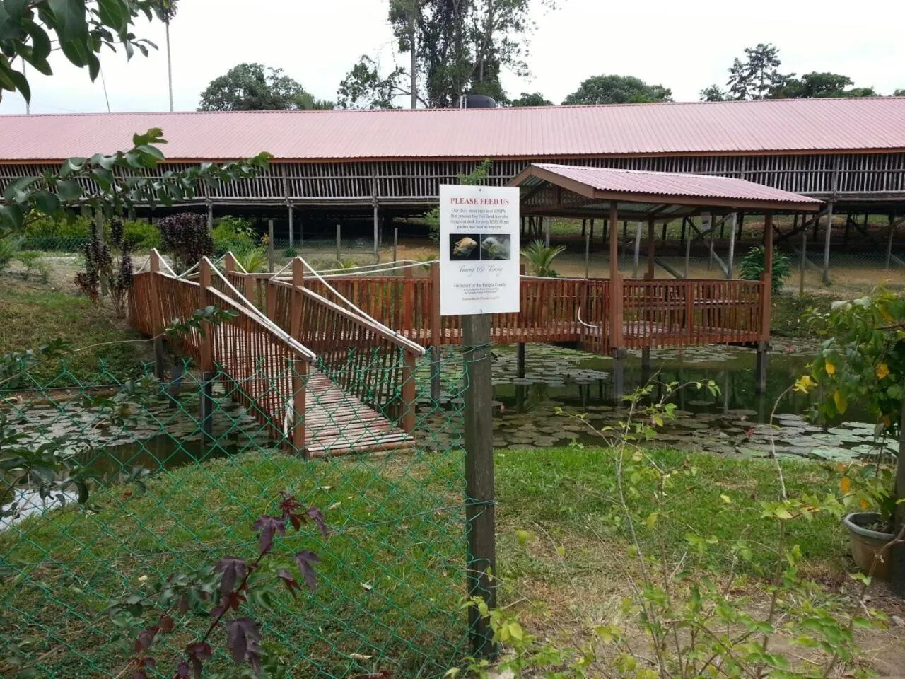 Garden in Sabah Tea Resort
