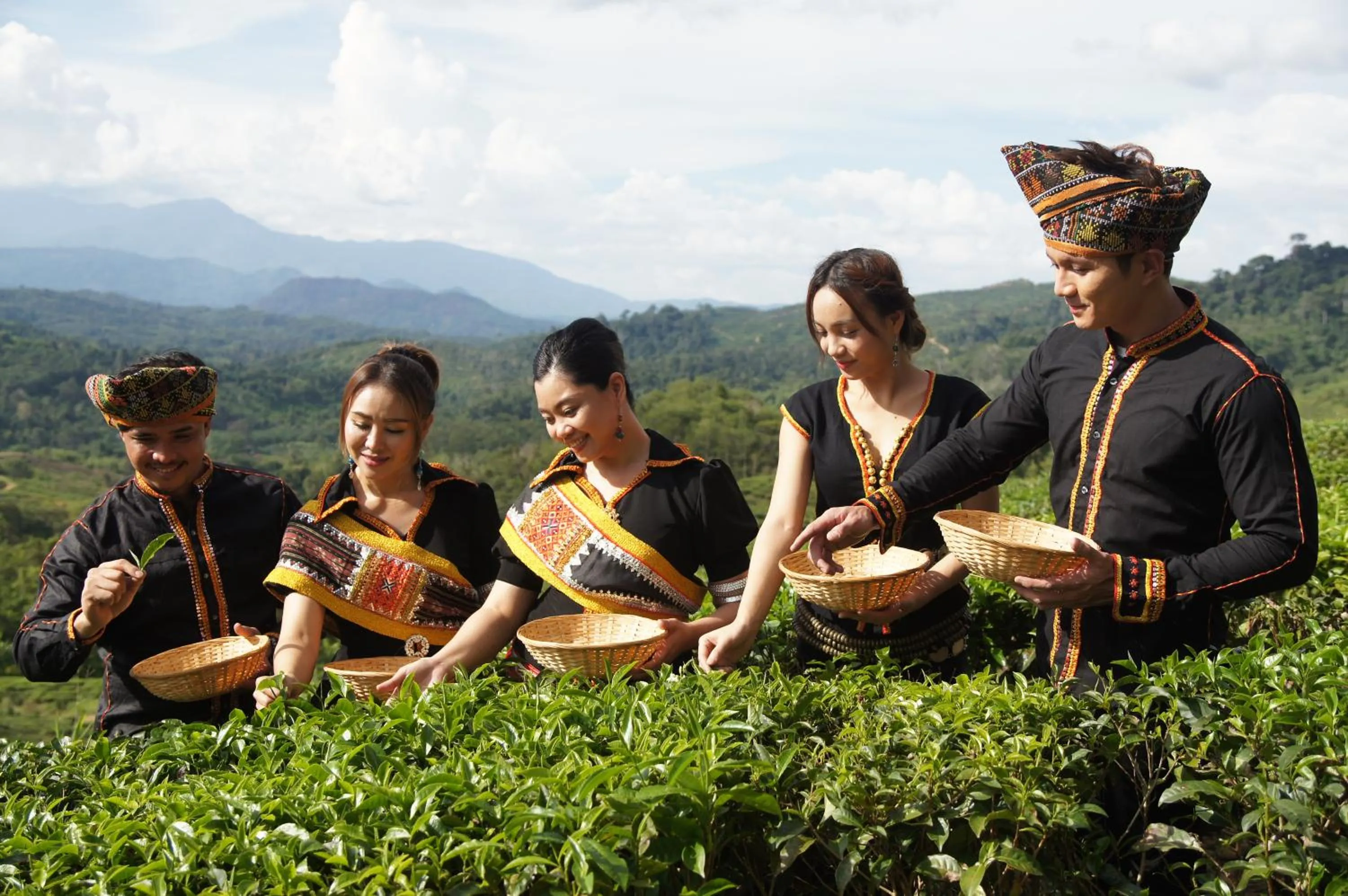 Garden in Sabah Tea Resort