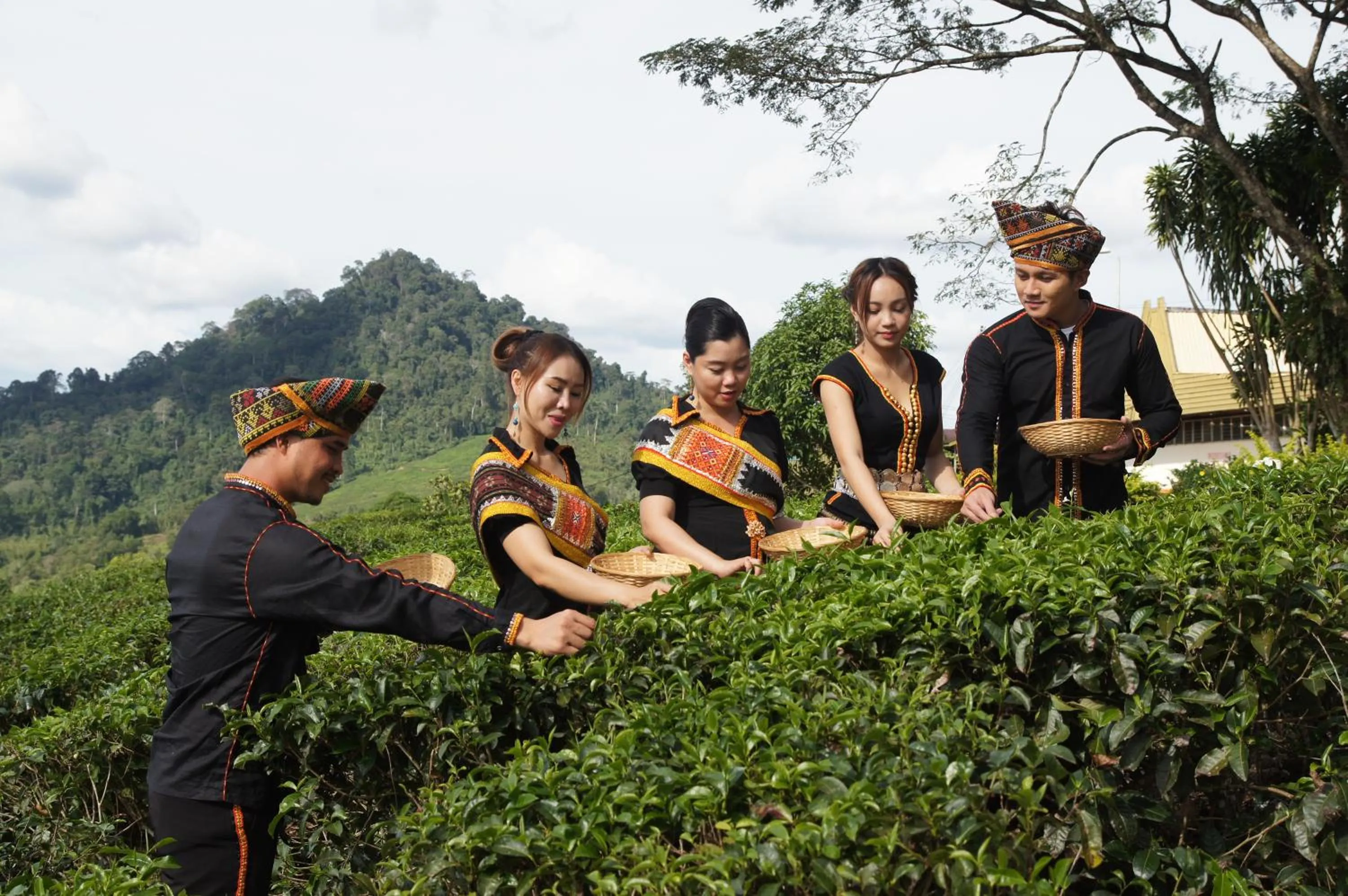 Activities in Sabah Tea Resort