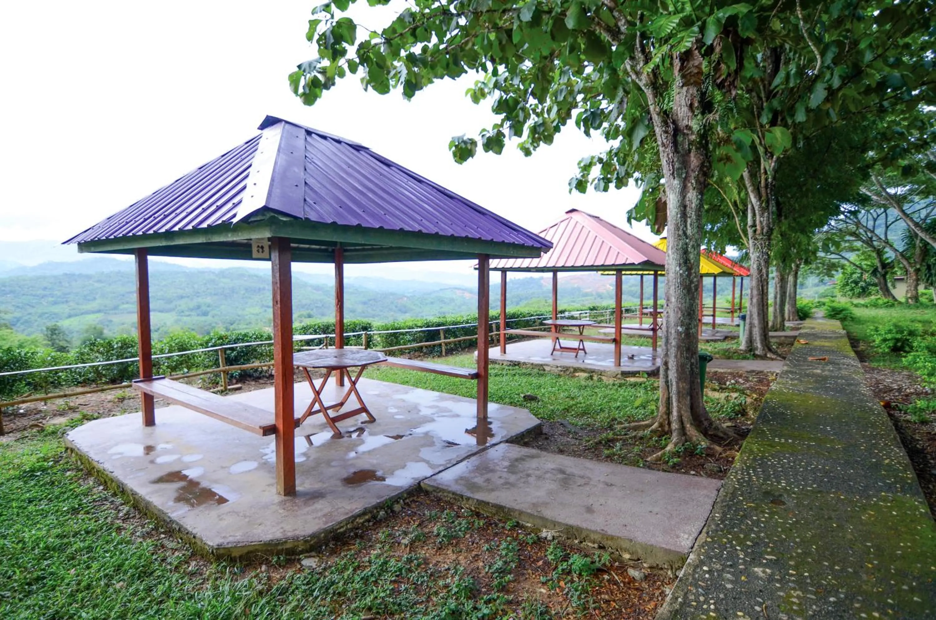 Activities in Sabah Tea Resort