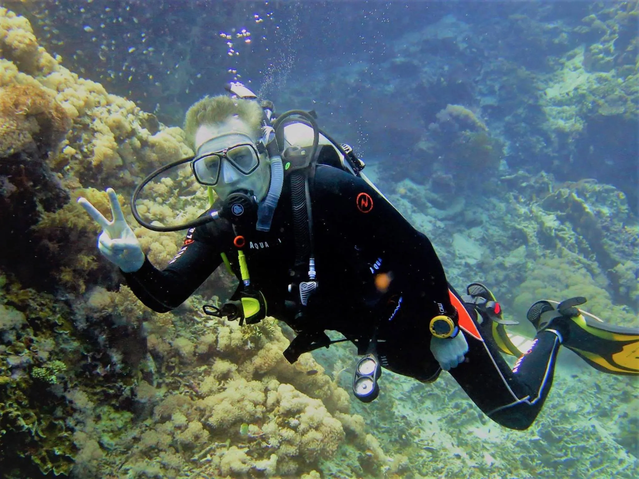 Natural landscape in Bohol South Beach Hotel